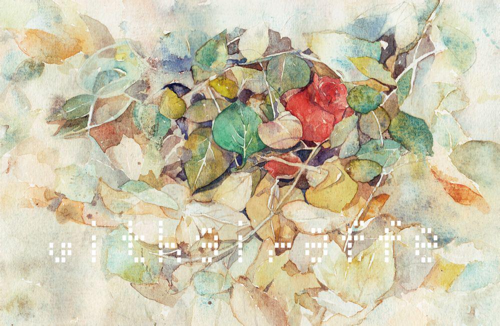 ting yuan zai ting yuan zhong