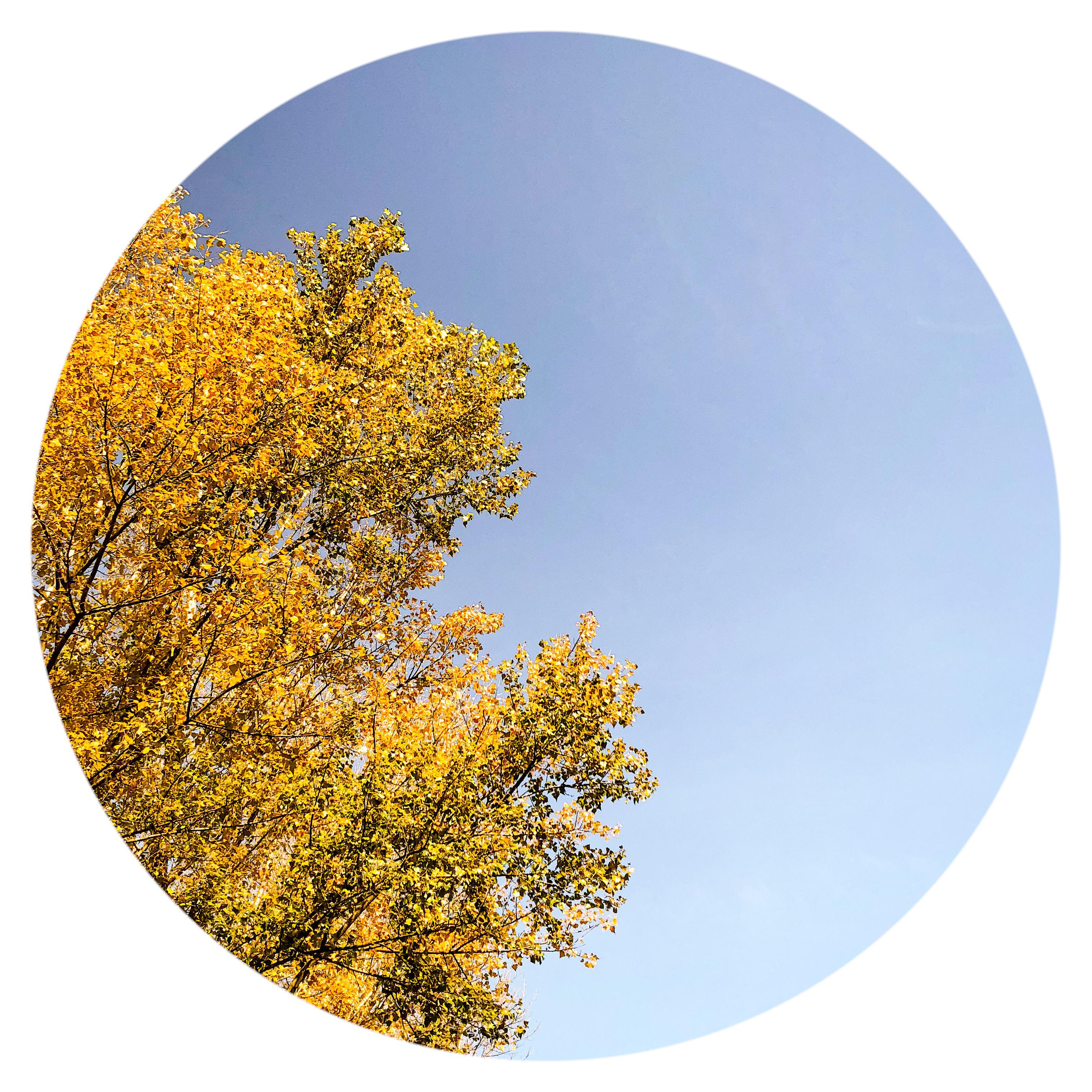 ma fan shao nv fan zi liu ren yu