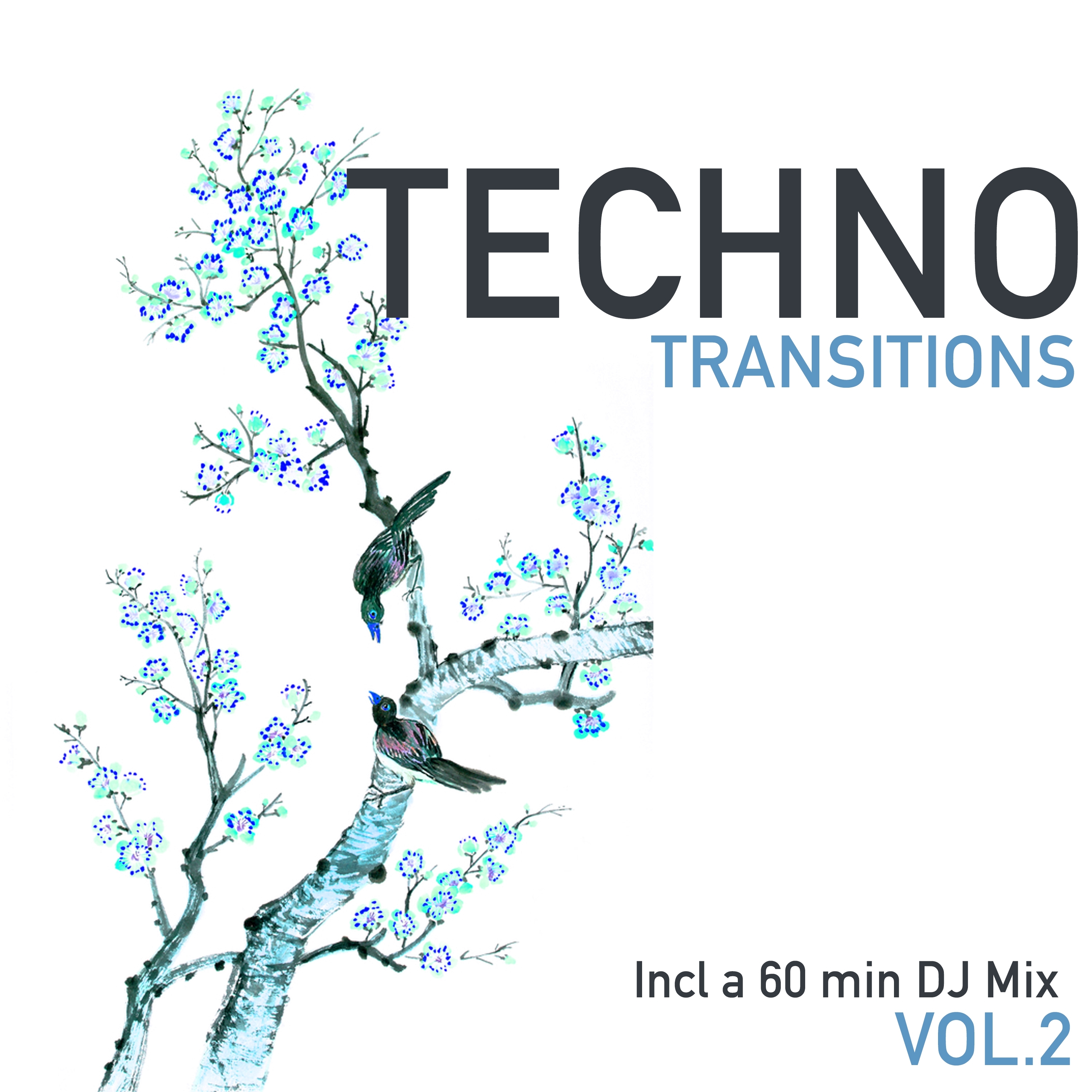 Techno Transitions, Vol. 2 (Mixed By Terrie Francys Junior)