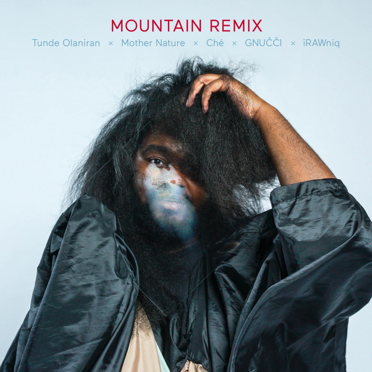 Mountain (Remix)