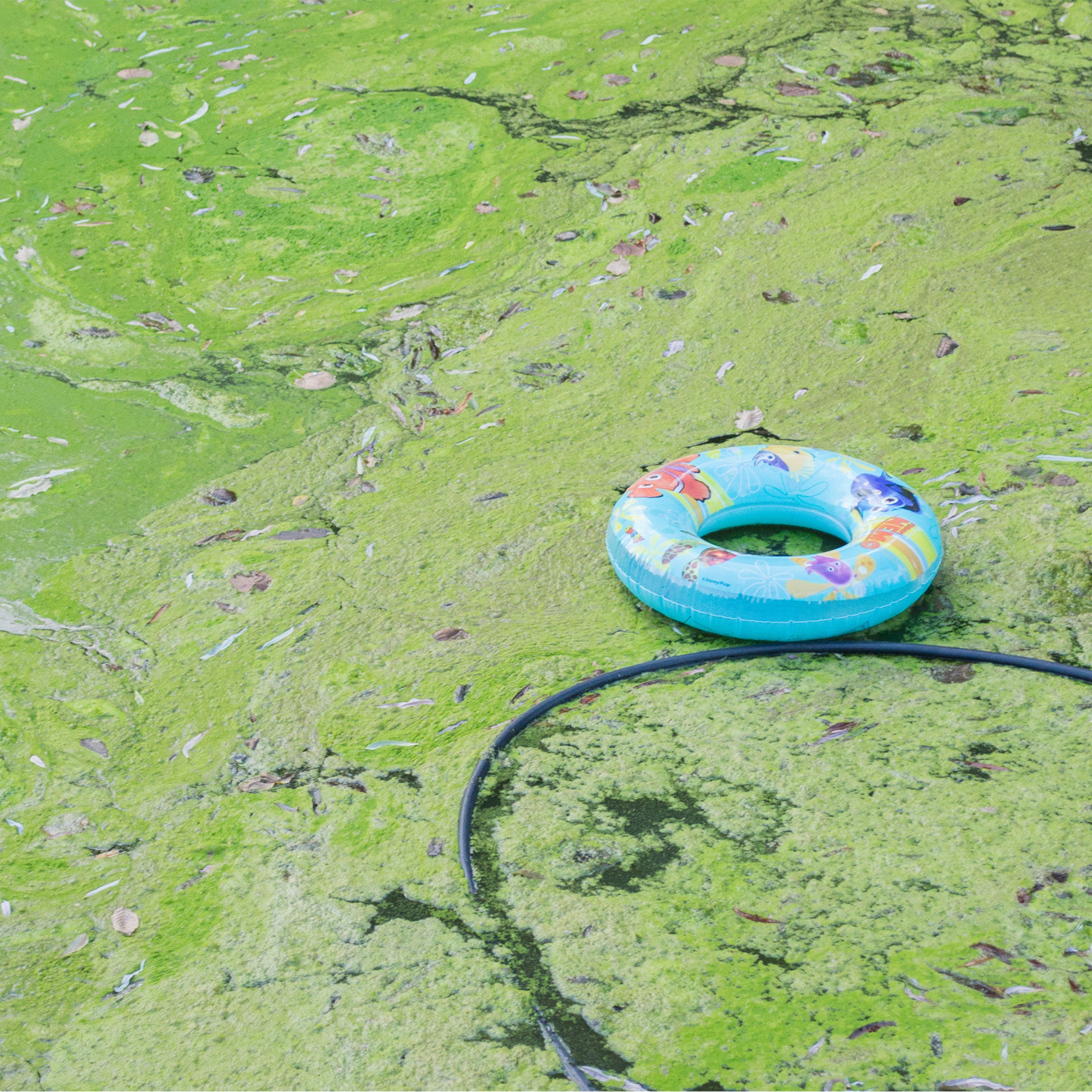 Baguette Shaped Moustache