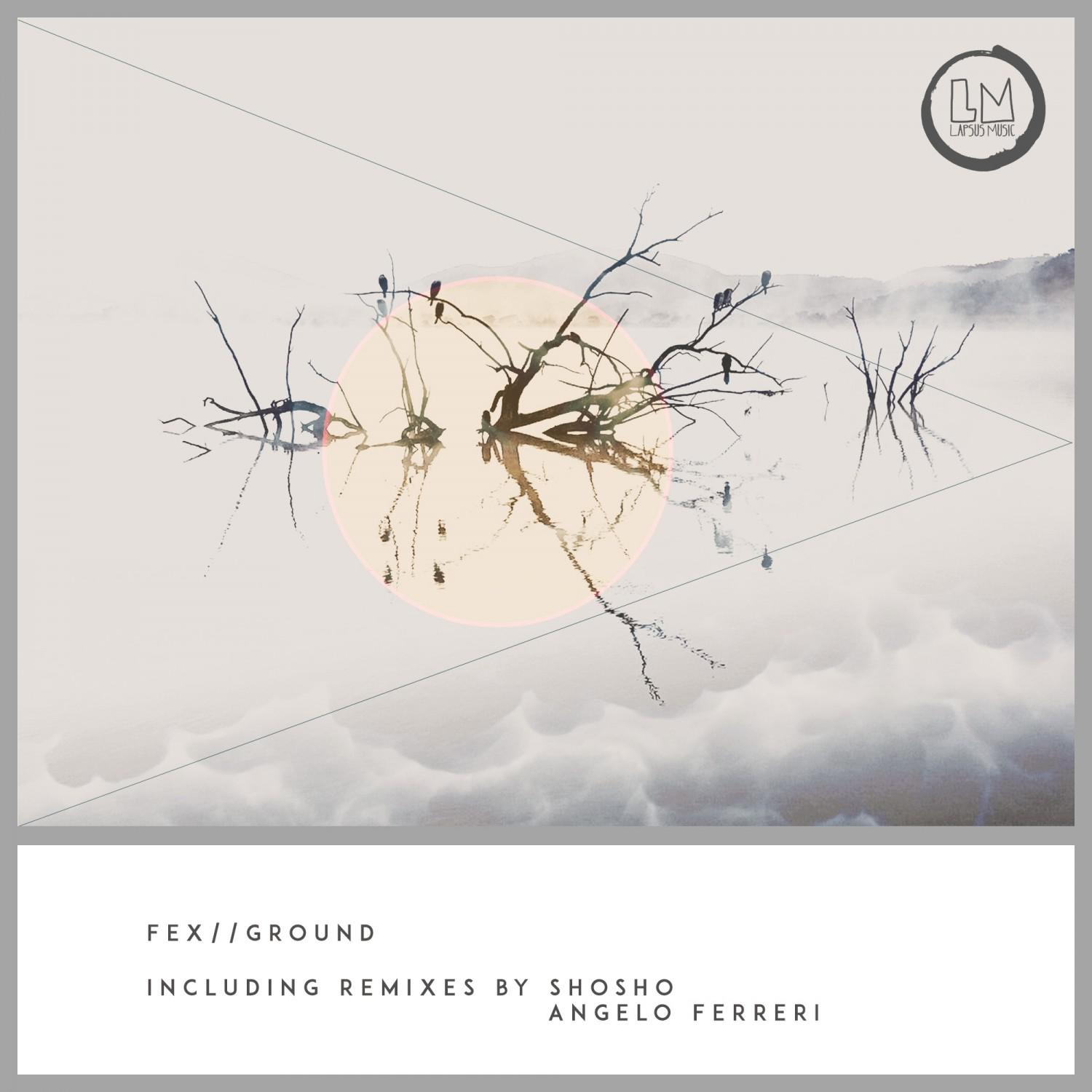 Why (Angelo Ferreri Jackin **** Mix)