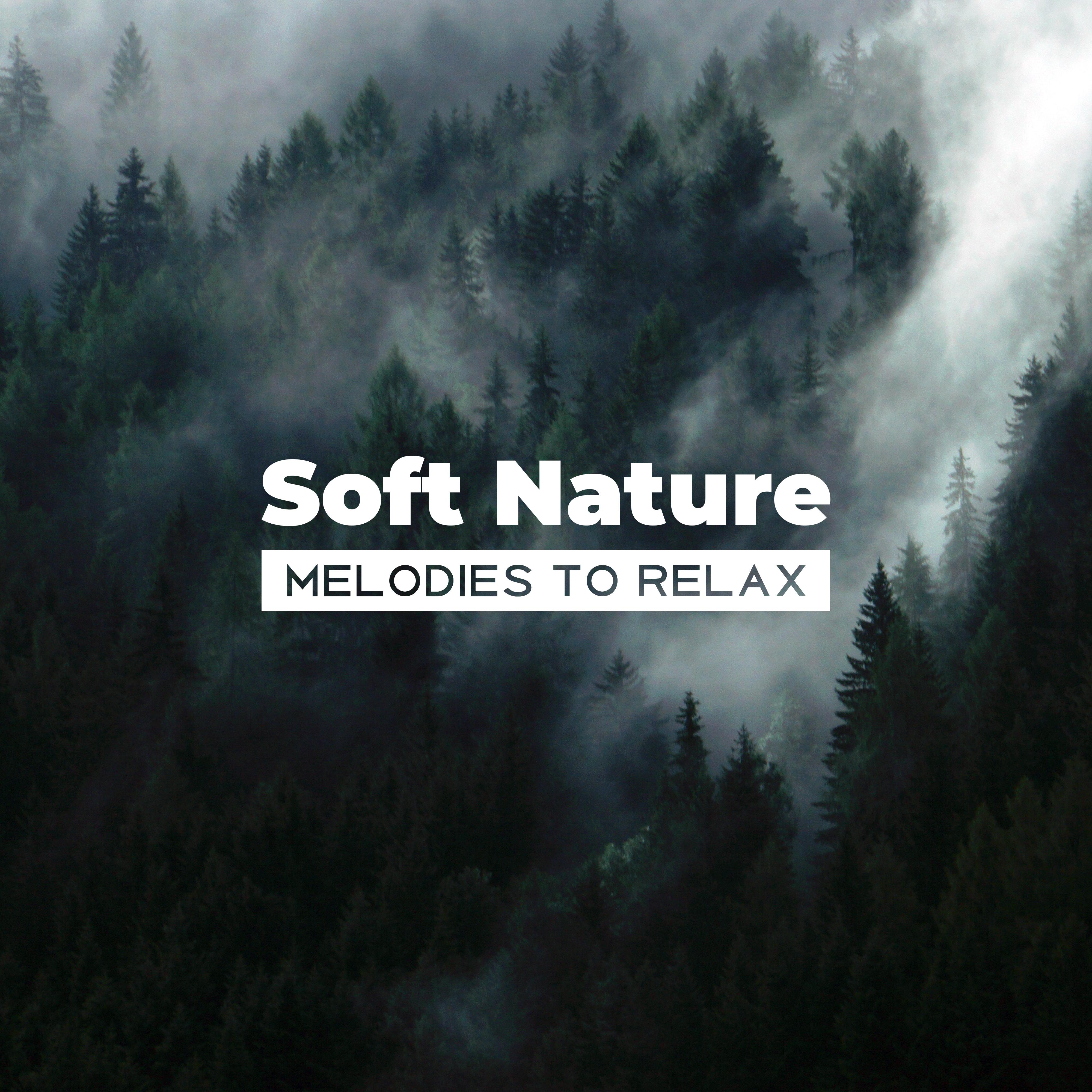 Soft Nature Melodies to Relax