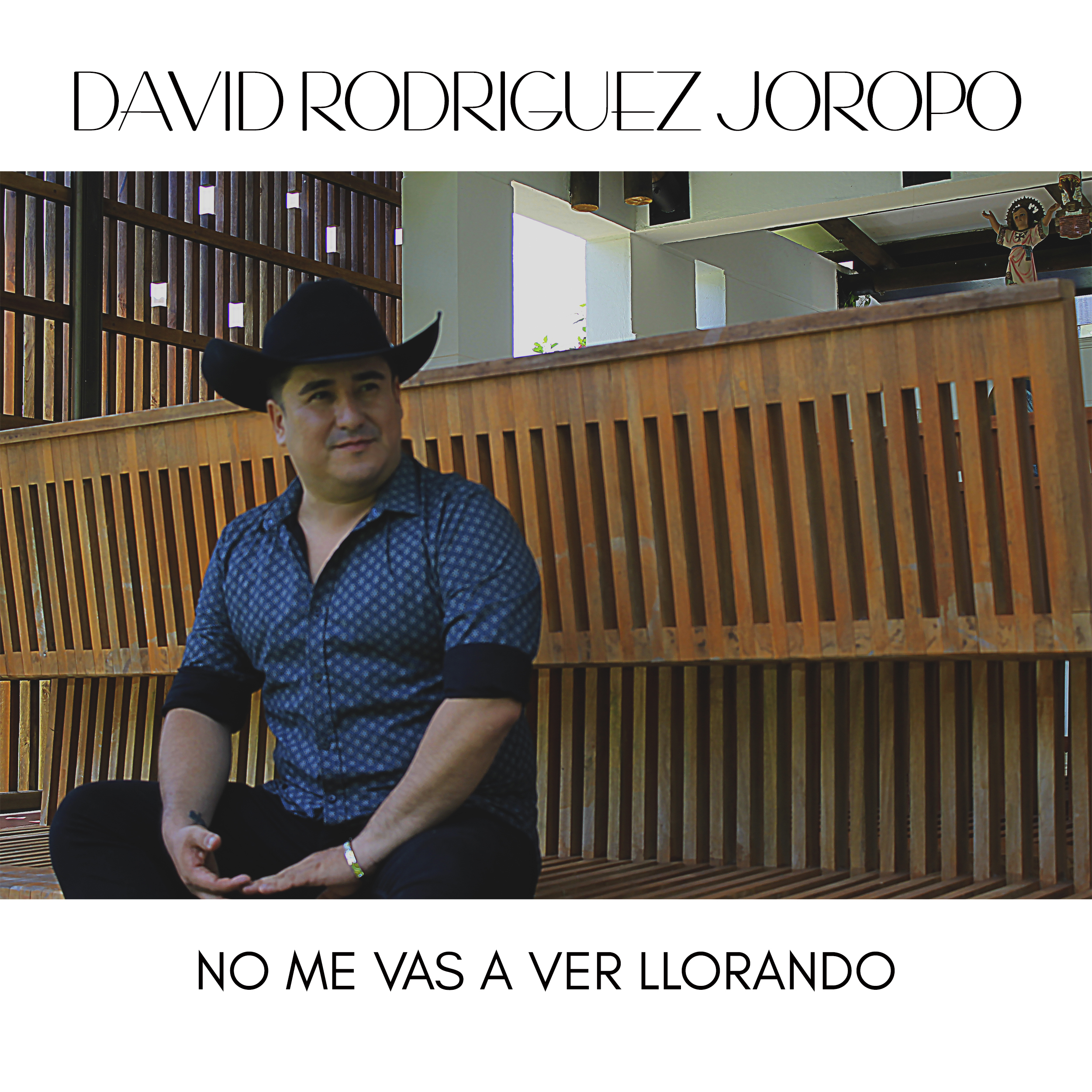 No Me Vas a Ver Llorando