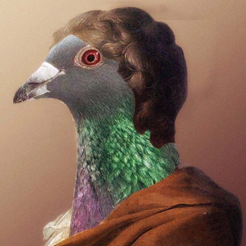 huang yuan de lang ying