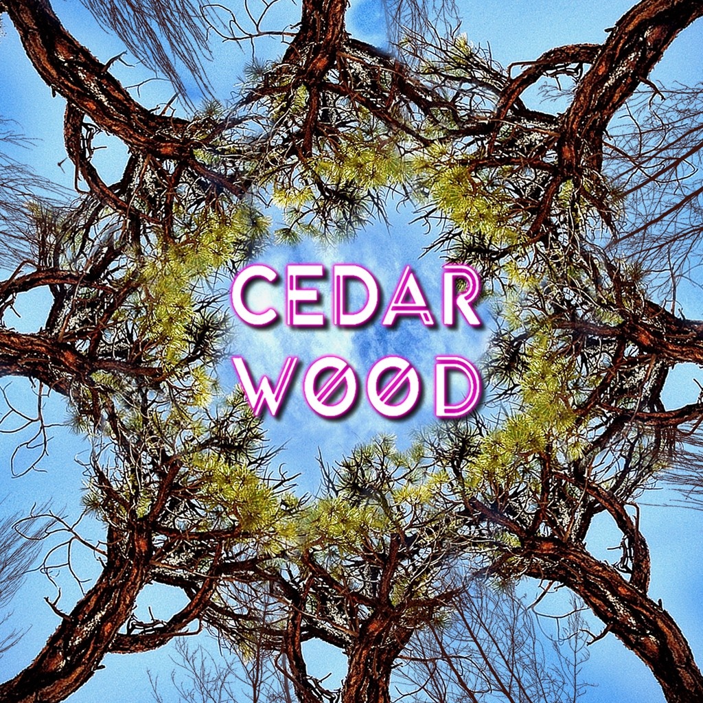 See The WOOD Vol. 1