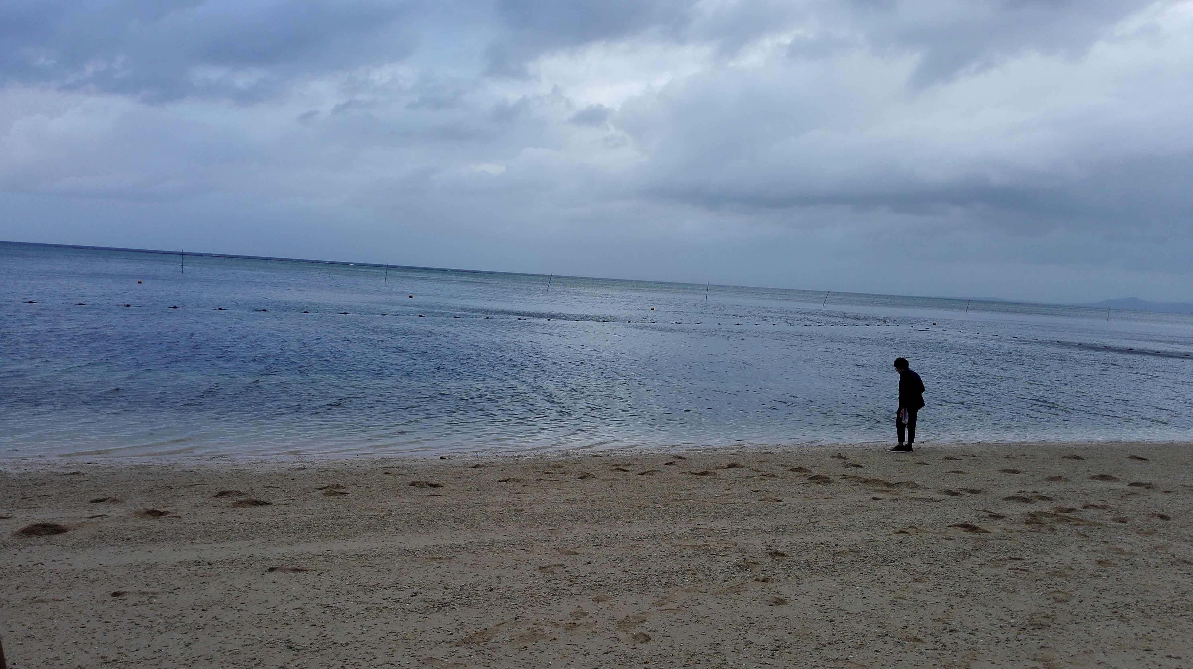 li kai shen yang bei