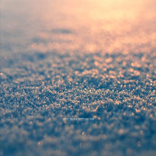 Vice It (Al3xTaylor Bootleg)