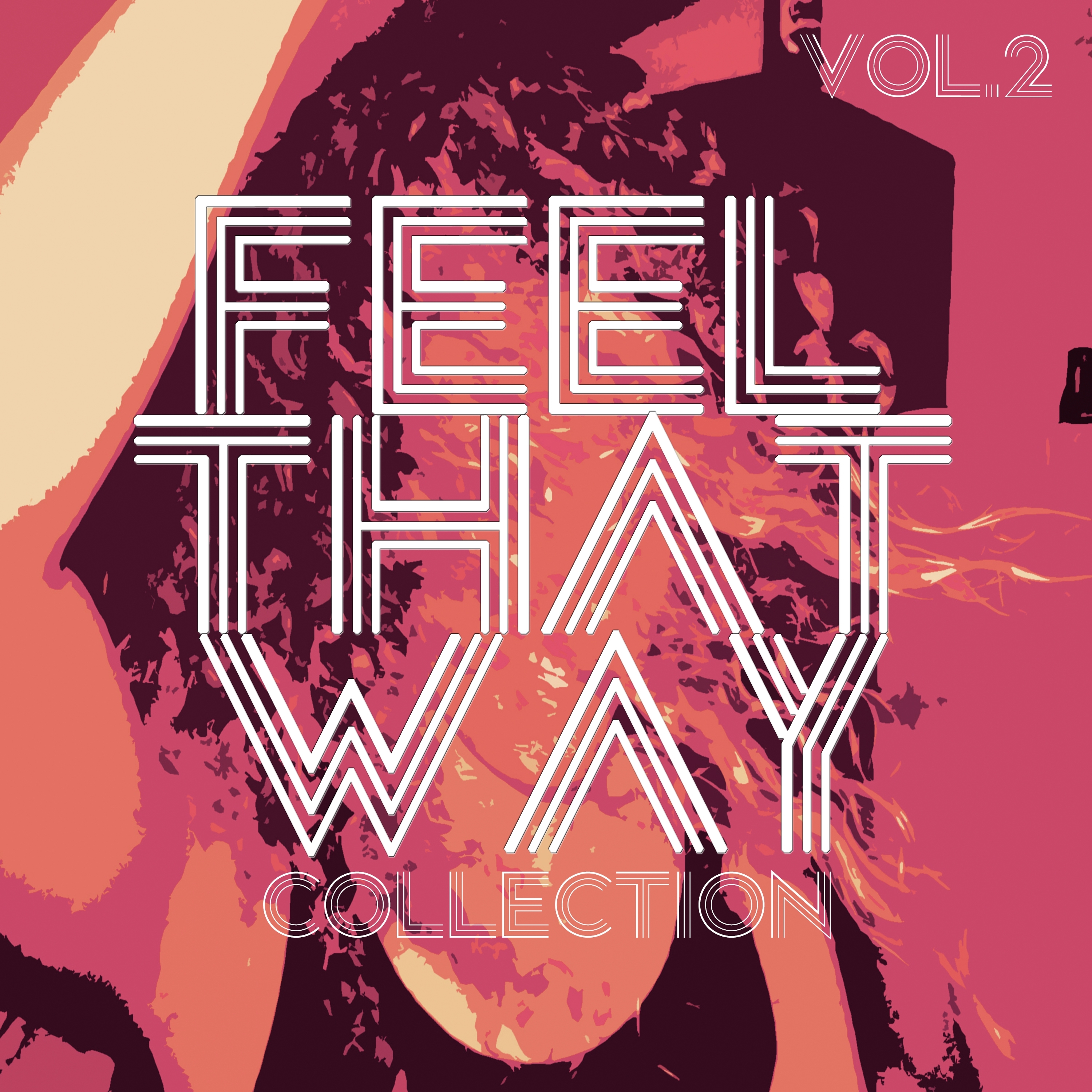 Feel That Way Collection, Vol. 1 - Selection of House Music