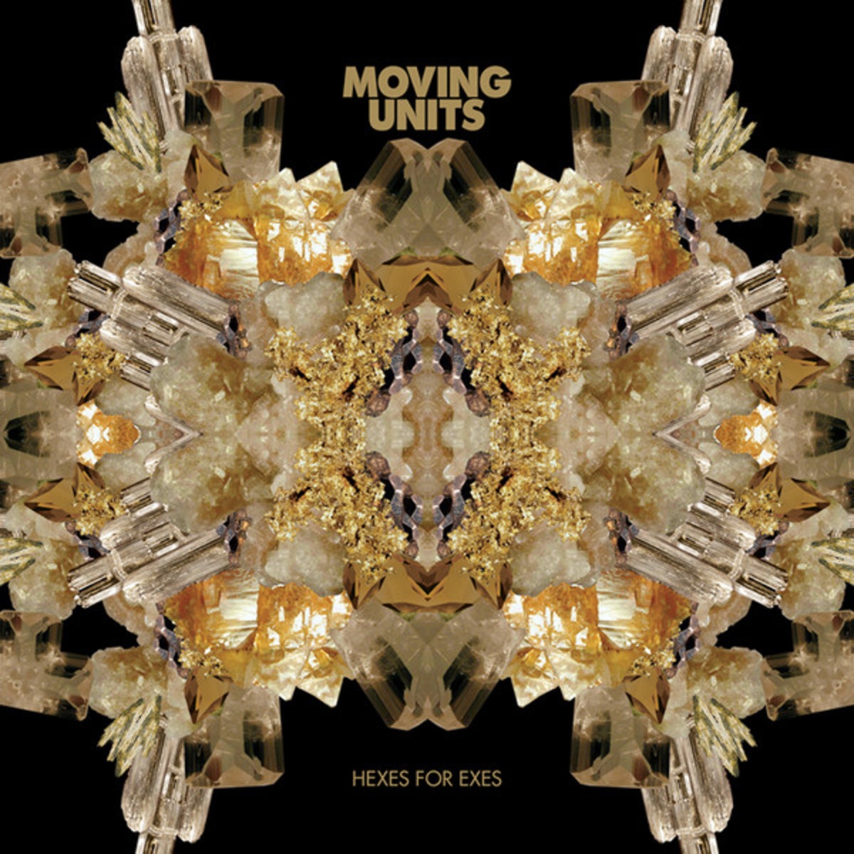 The Kids from Orange County