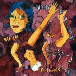 the fall of shadow kingdom