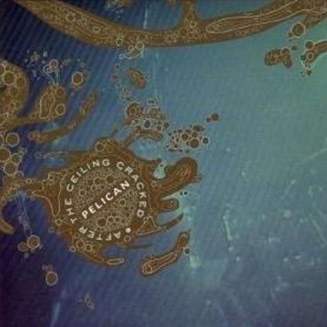 After The Ceiling Cracked