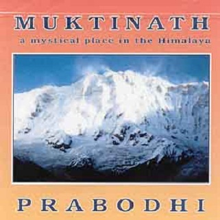 Rhythm of the Eternal Forest