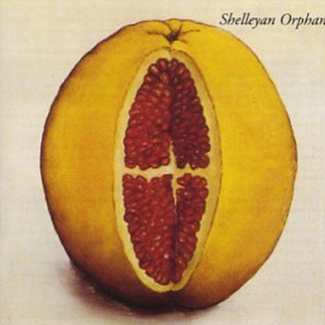 Supernature on a Superhighway