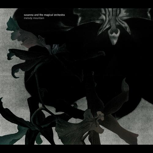 Condition of the Heart