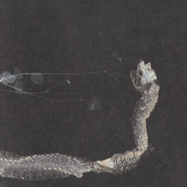 Vahainen Violetissa (Lithe in Lilac)