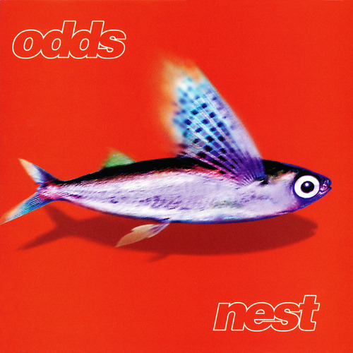 Say You Mean It Wondergirl