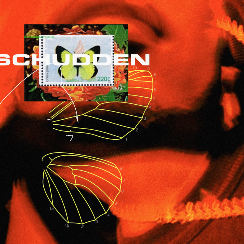 Schudden (Instrumental)