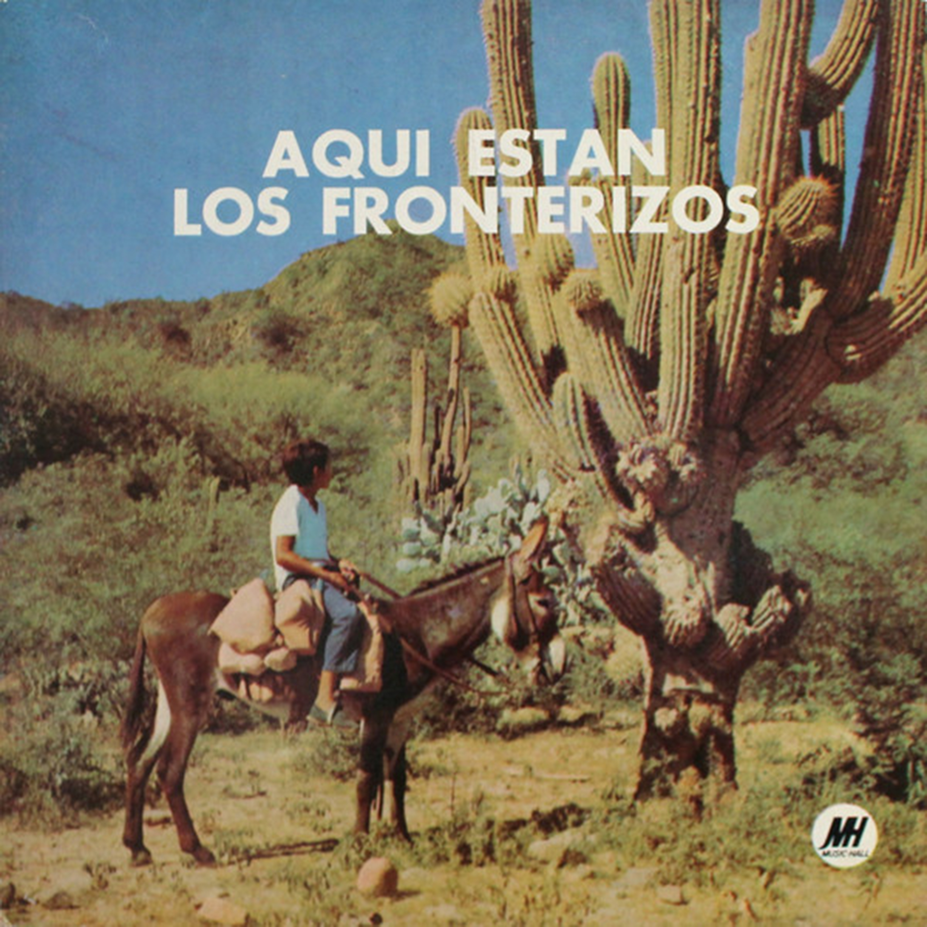 Chilena del soltero n