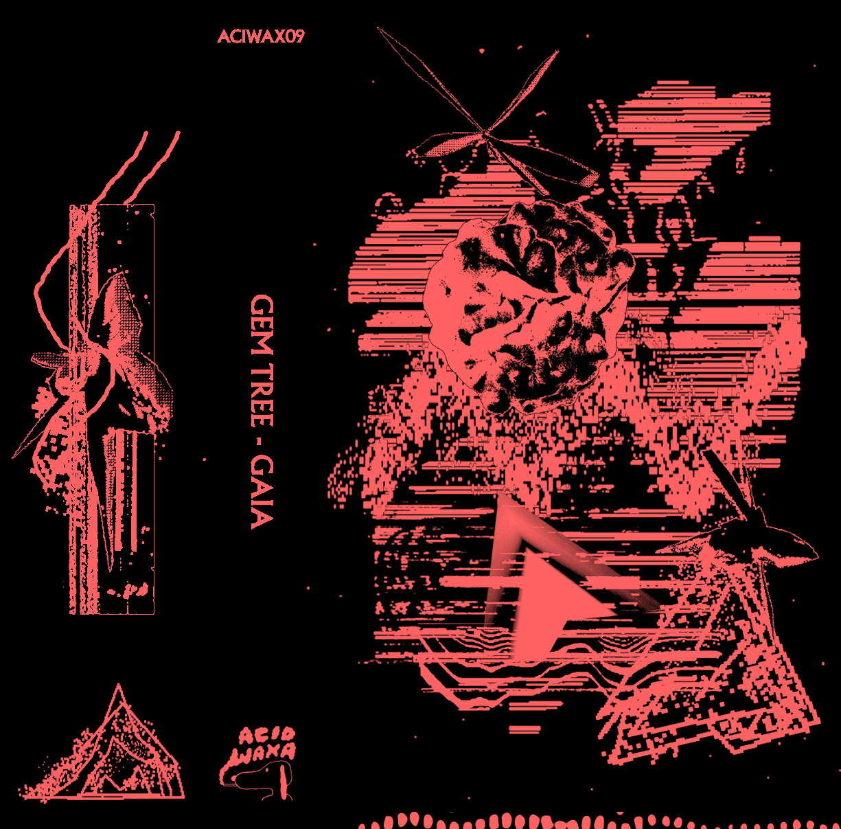 Drak Web (Original Mix)