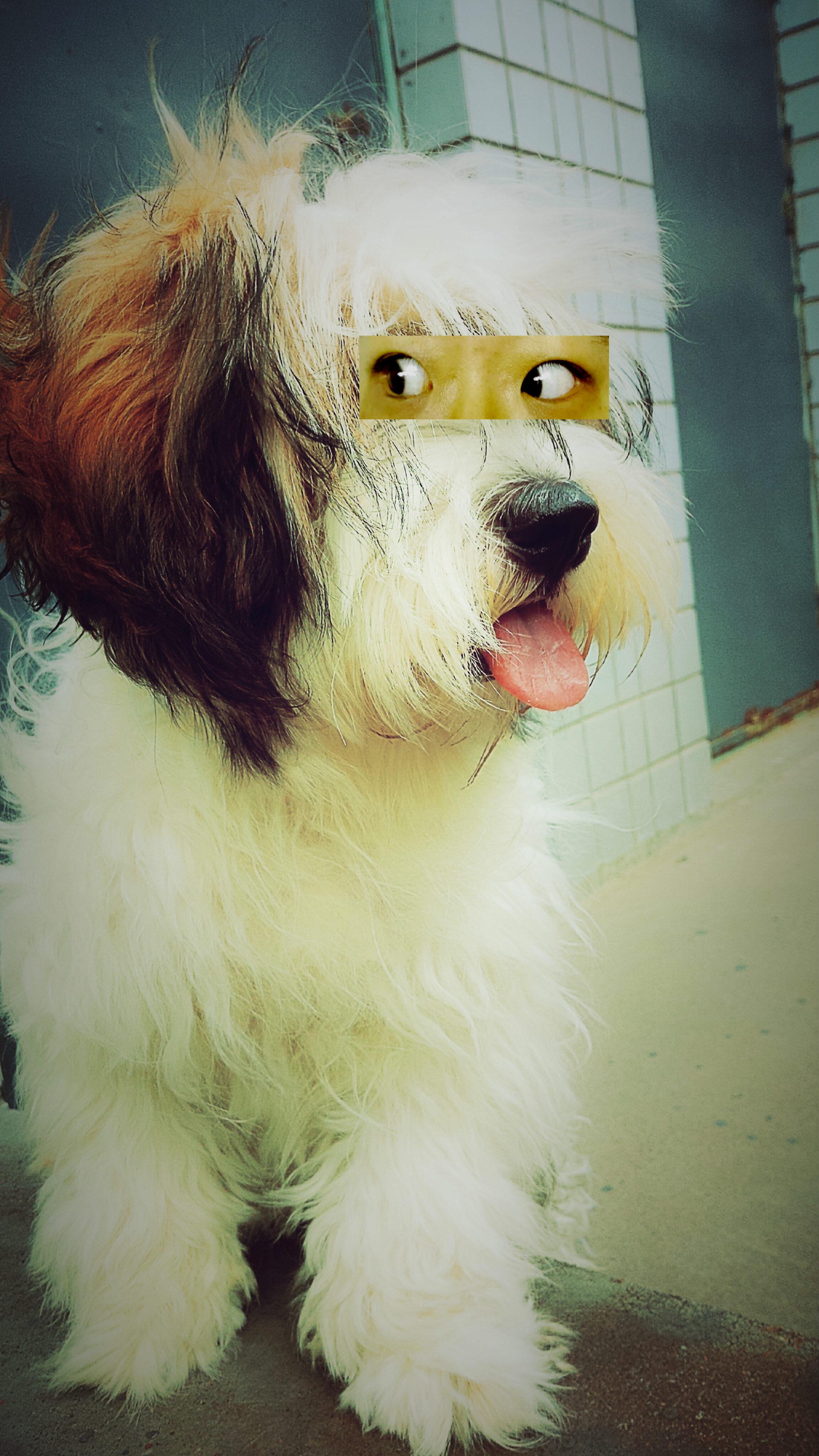 Panic Cord (rOam Remix)