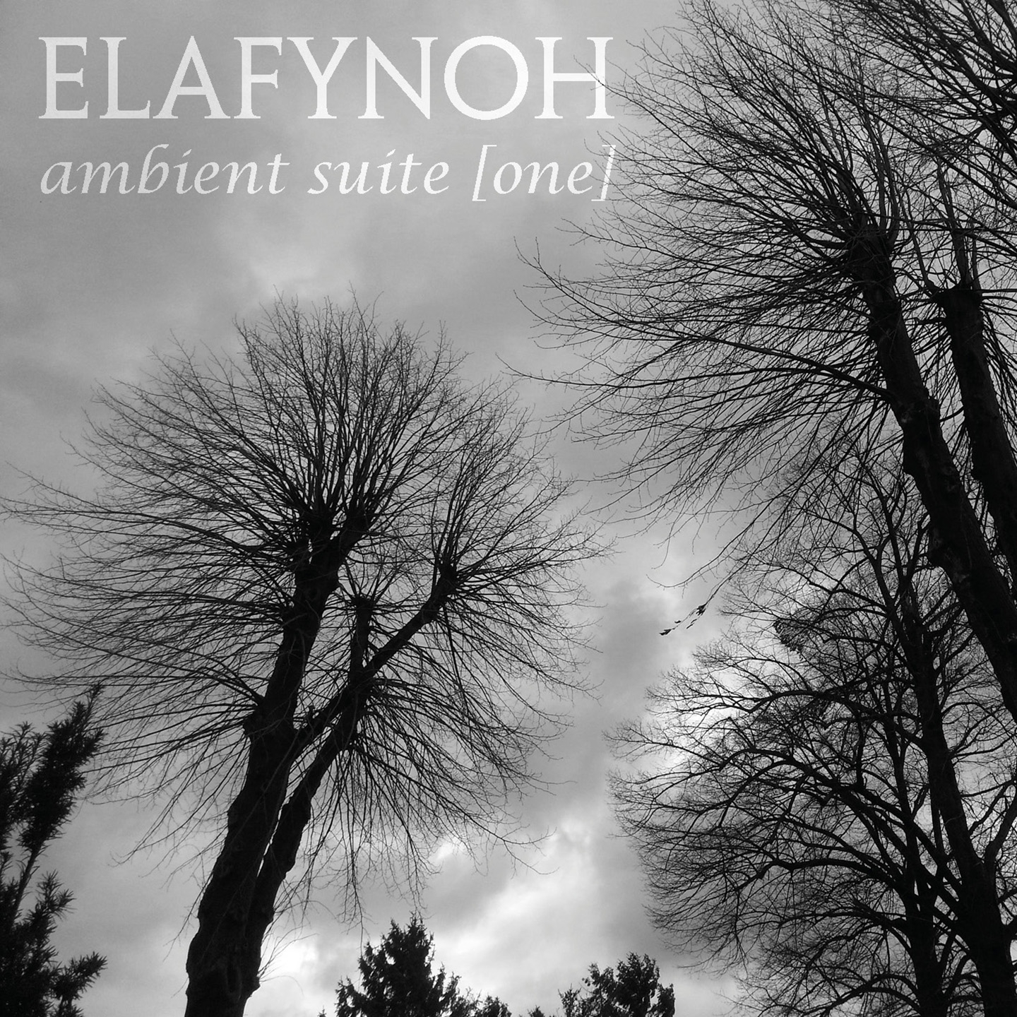 Ambient Suite , Pt. 5