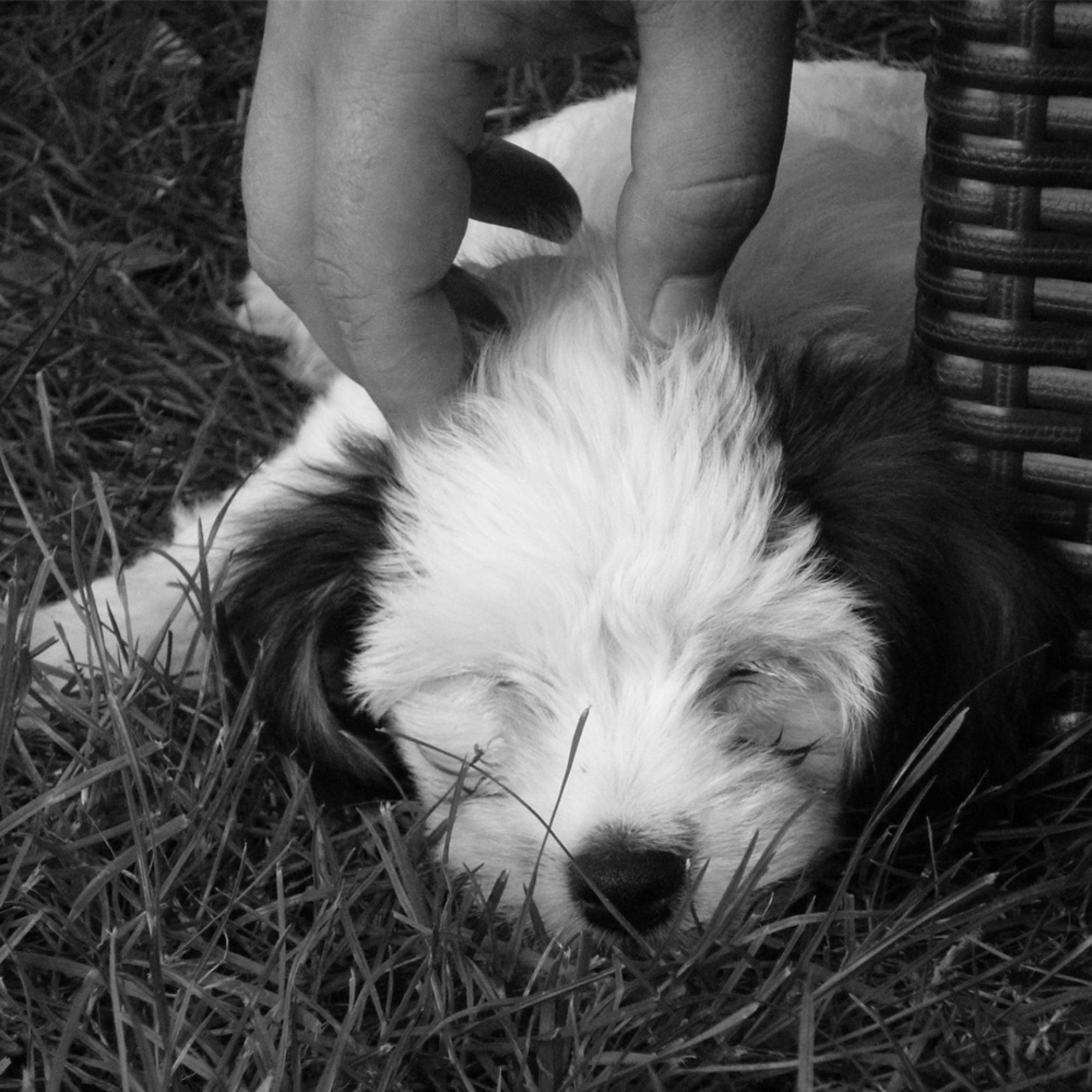 Create a Better Past