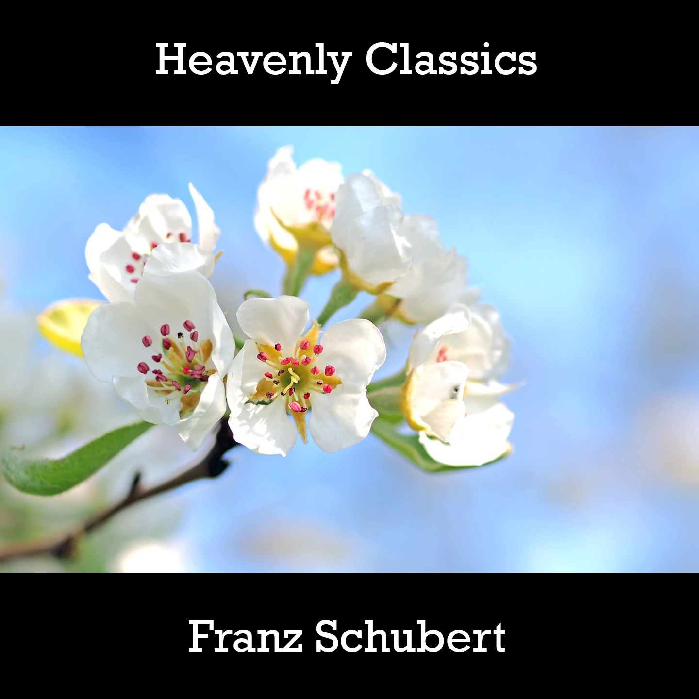 Heavenly Classics Franz Schubert