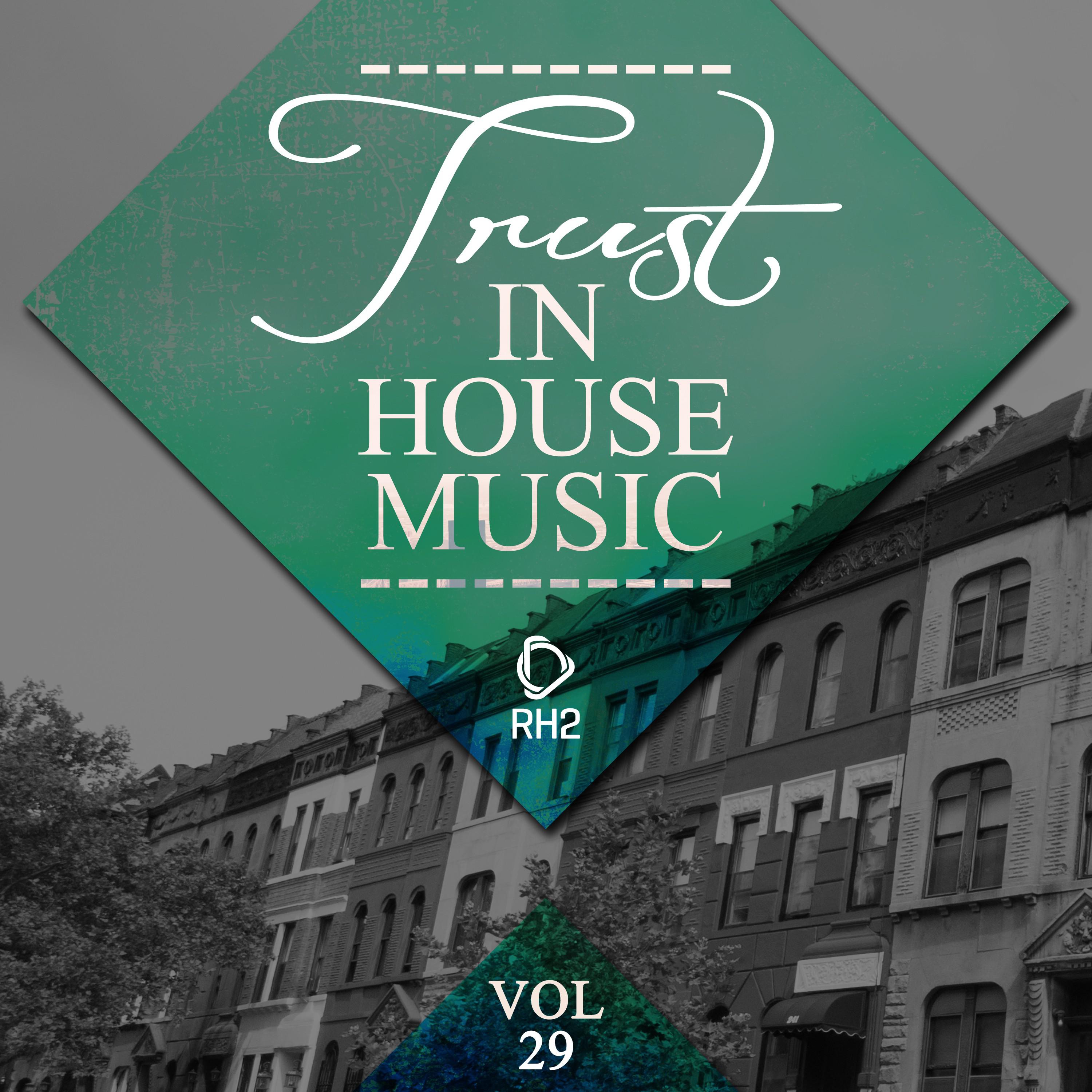 Trust in House Music, Vol. 29