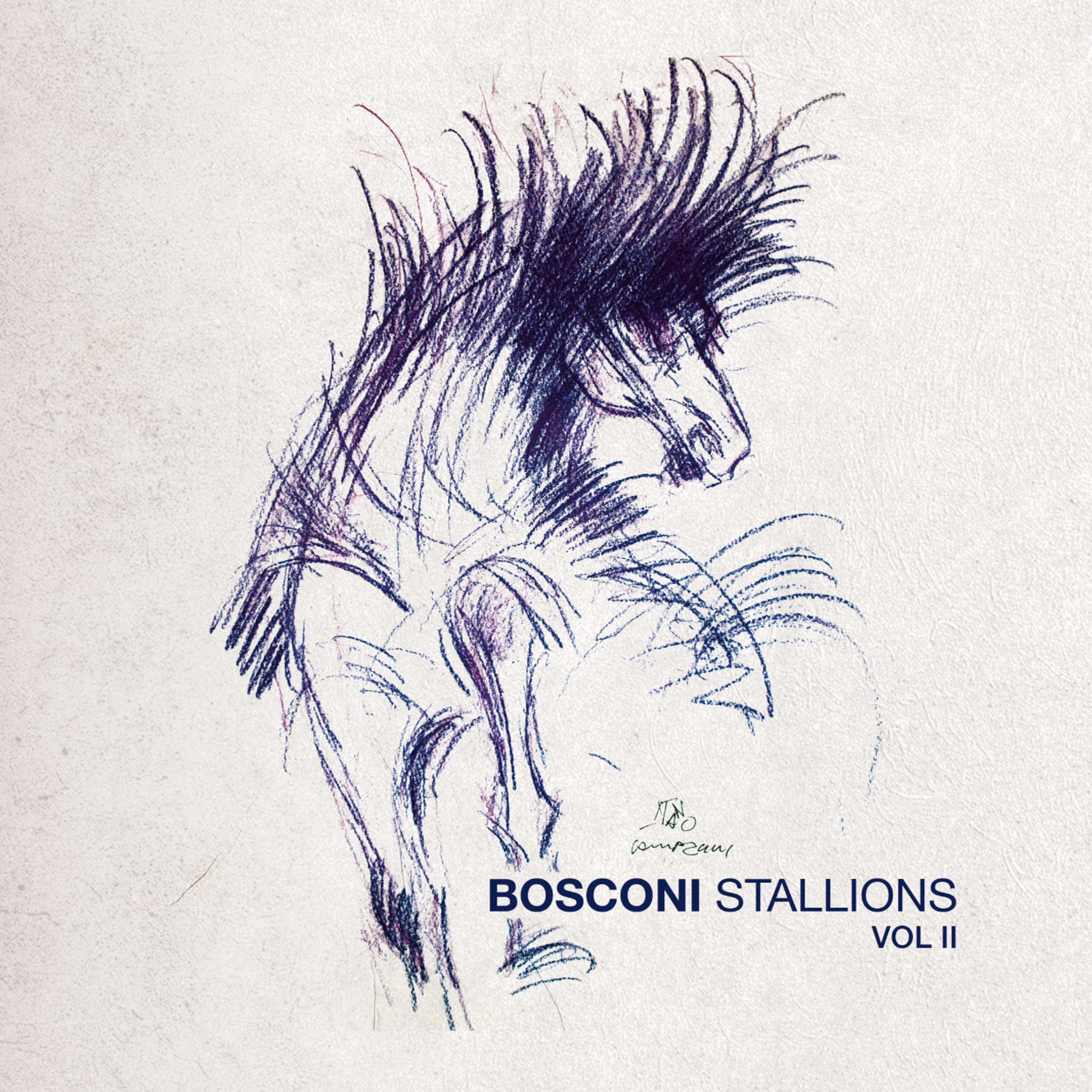 Bosconi Stallions Vol.2 - 10 Years Of Bosconi Records