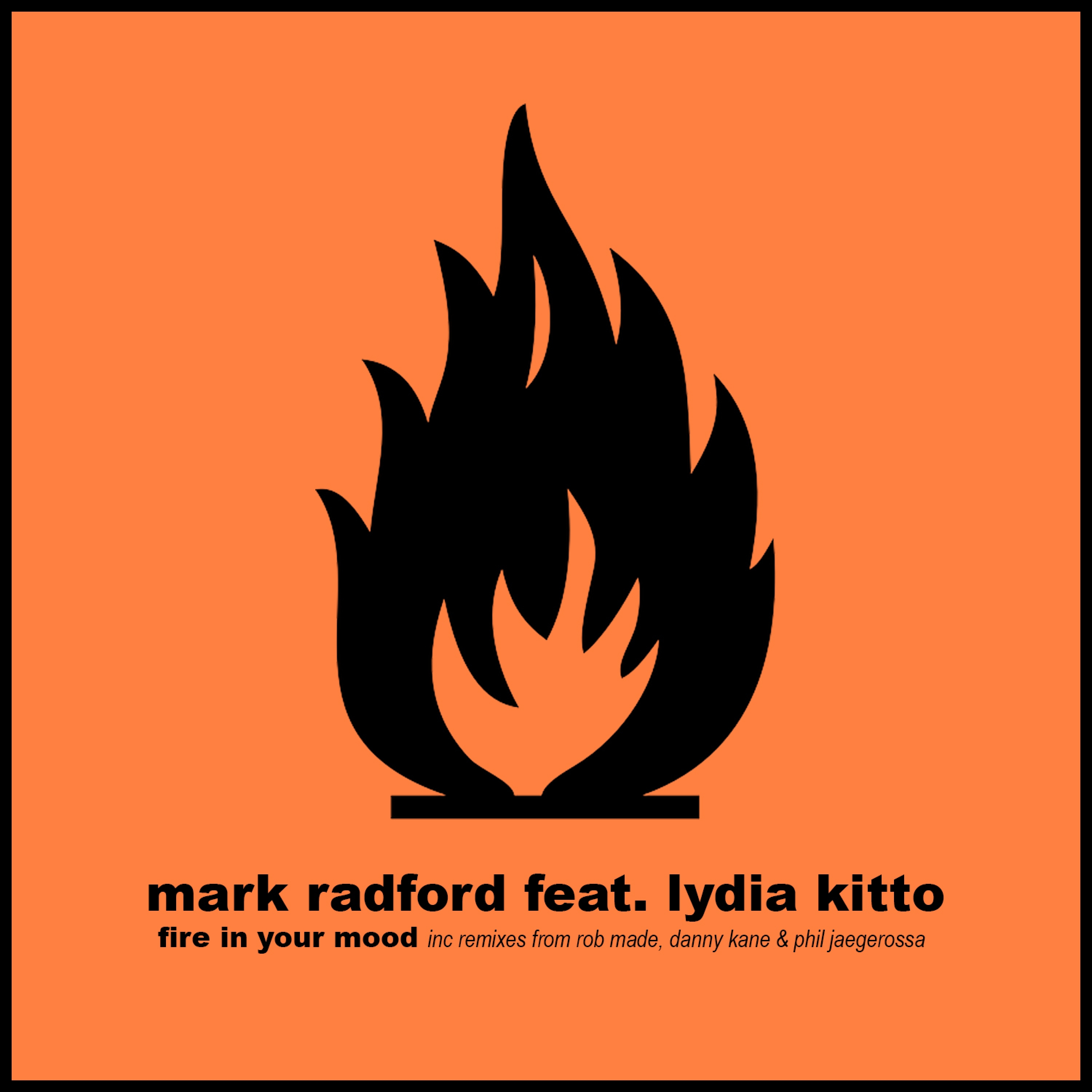 Fire in Your Mood (Phil Jaegerossa Remix)