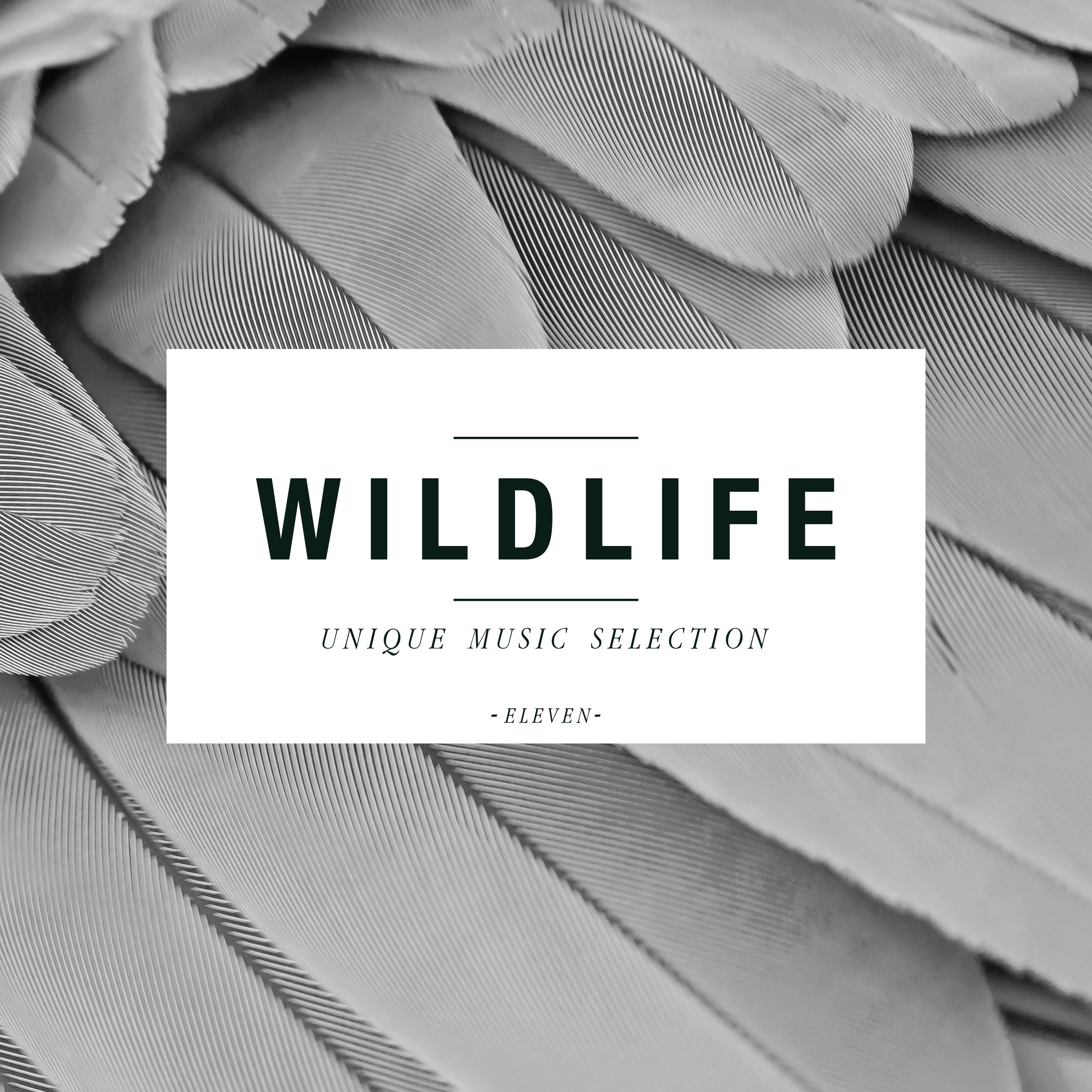 Wildlife - Unique Music Selection, Vol. 11