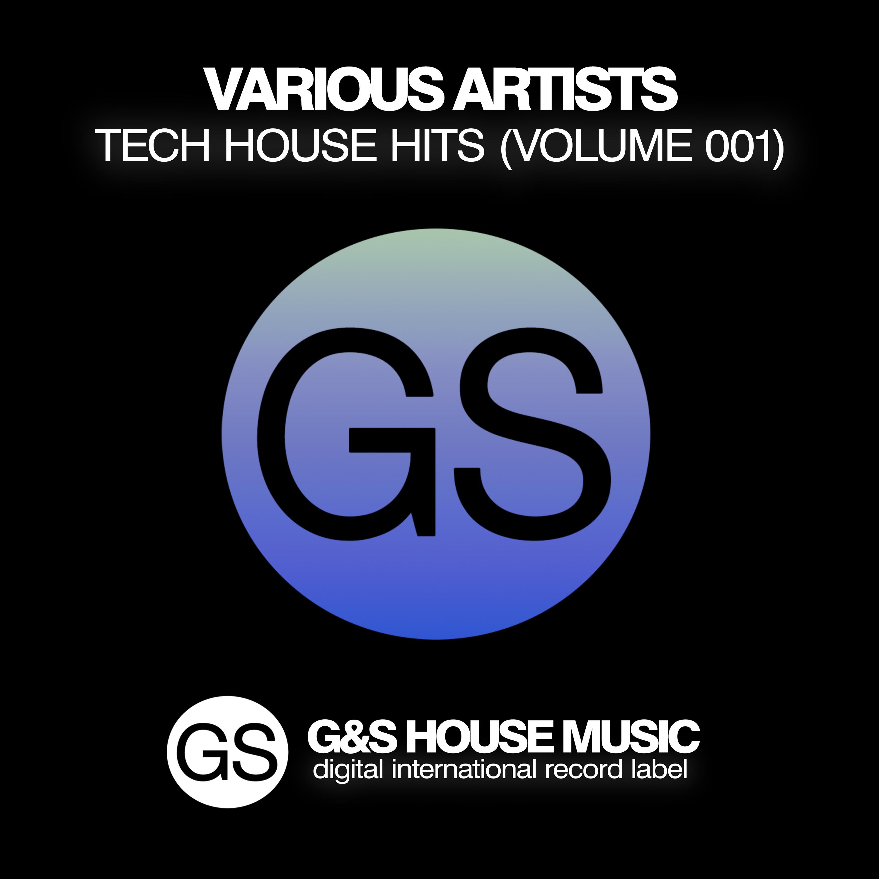 Tech House Hits, Vol. 001