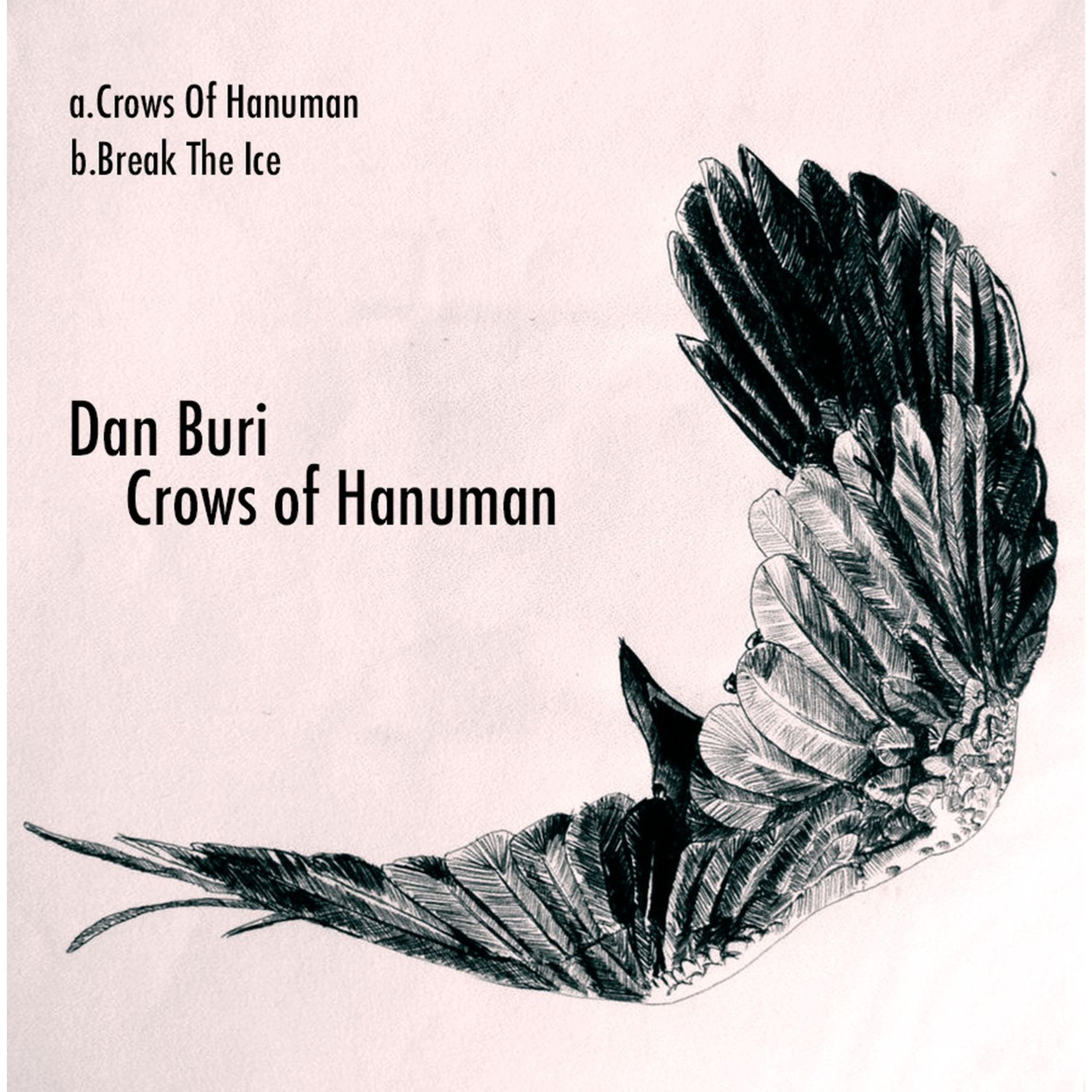 Crows of Hanuman