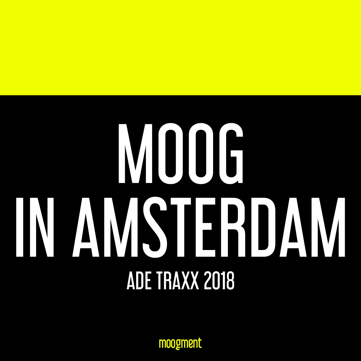 Moog In Amsterdam (Ade Traxx 2018)
