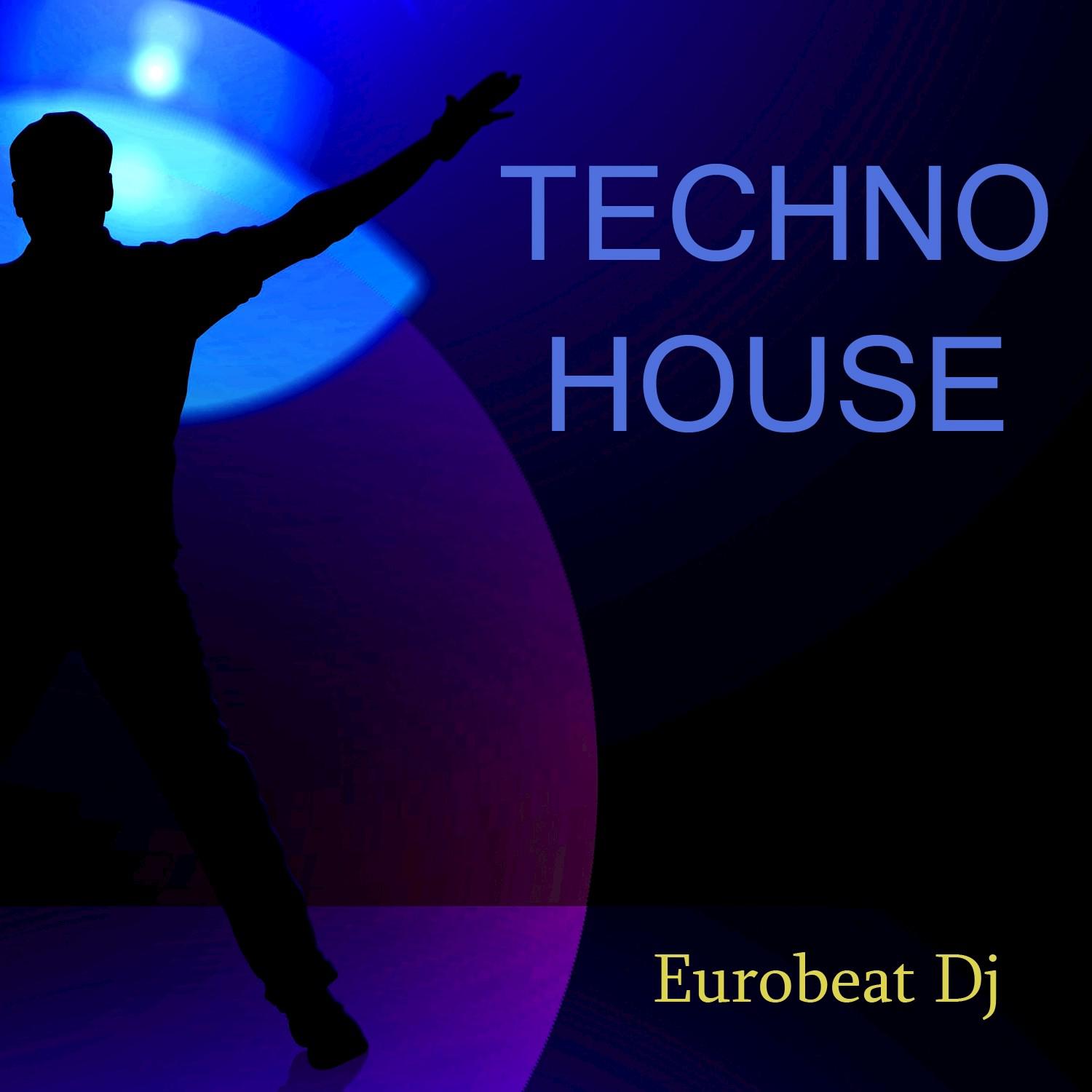 Techno House