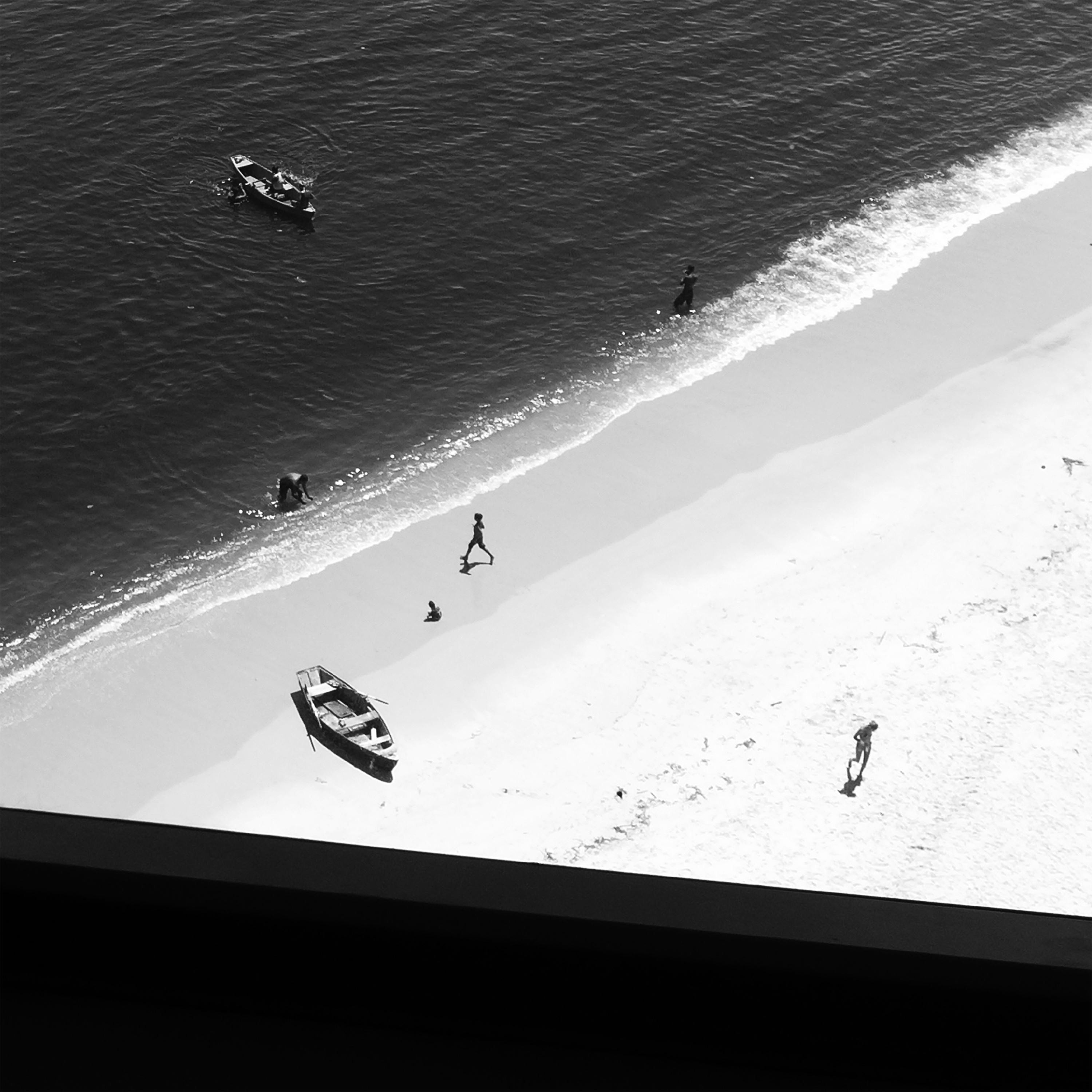 WildWorld10 (Savage Series)