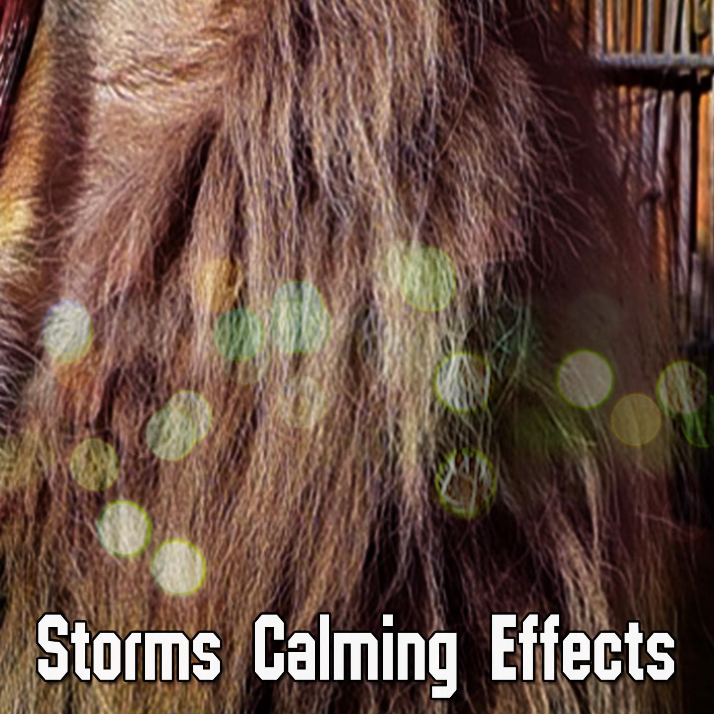 Storms Calming Effects