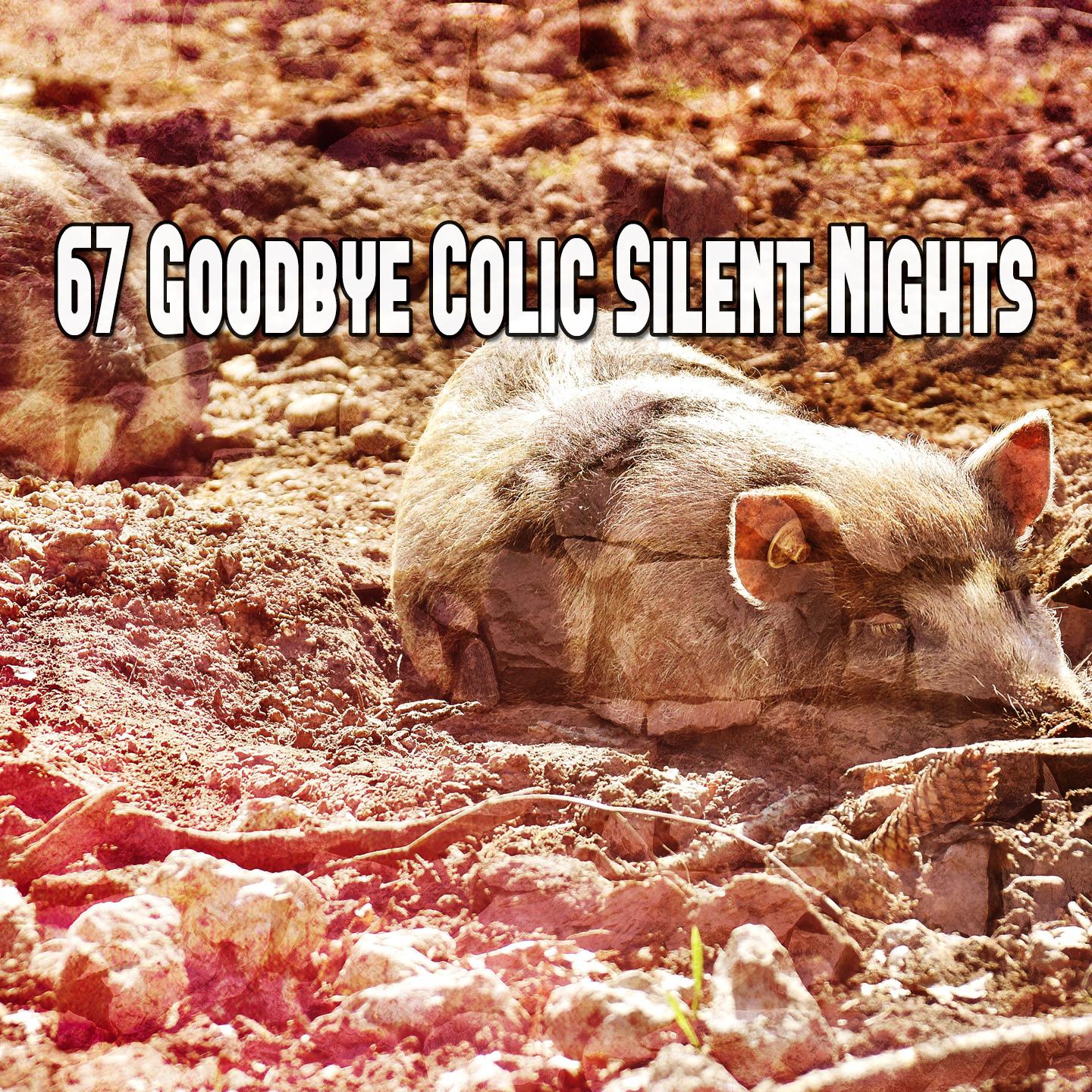 67 Goodbye Colic Silent Nights