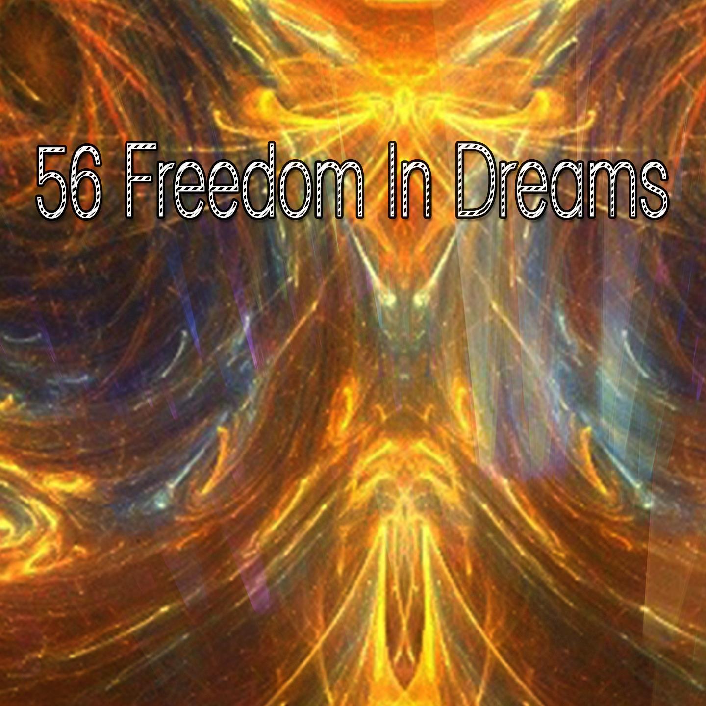 56 Freedom In Dreams