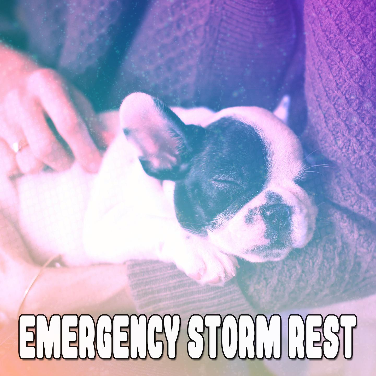 Emergency Storm Rest