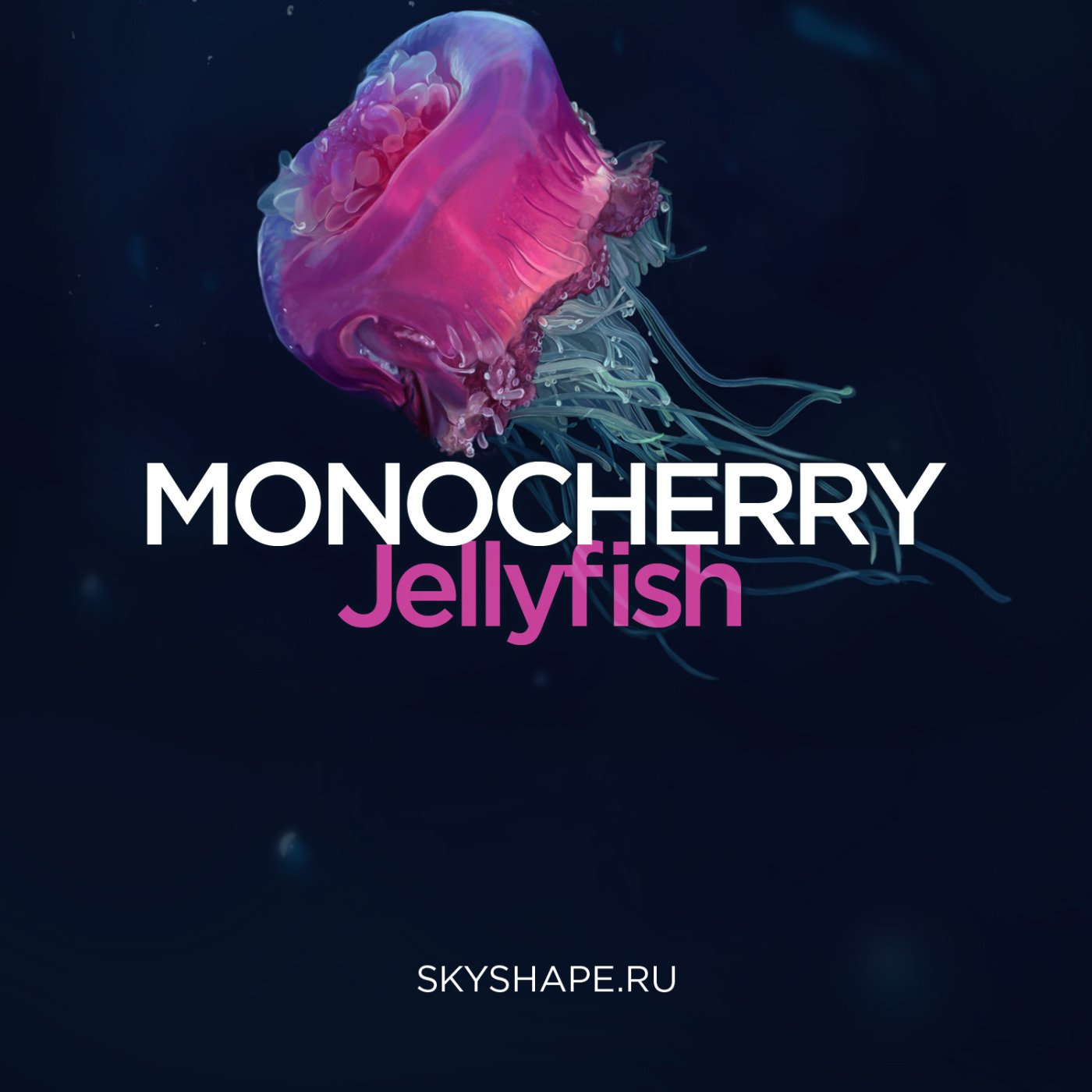 Jellyfish