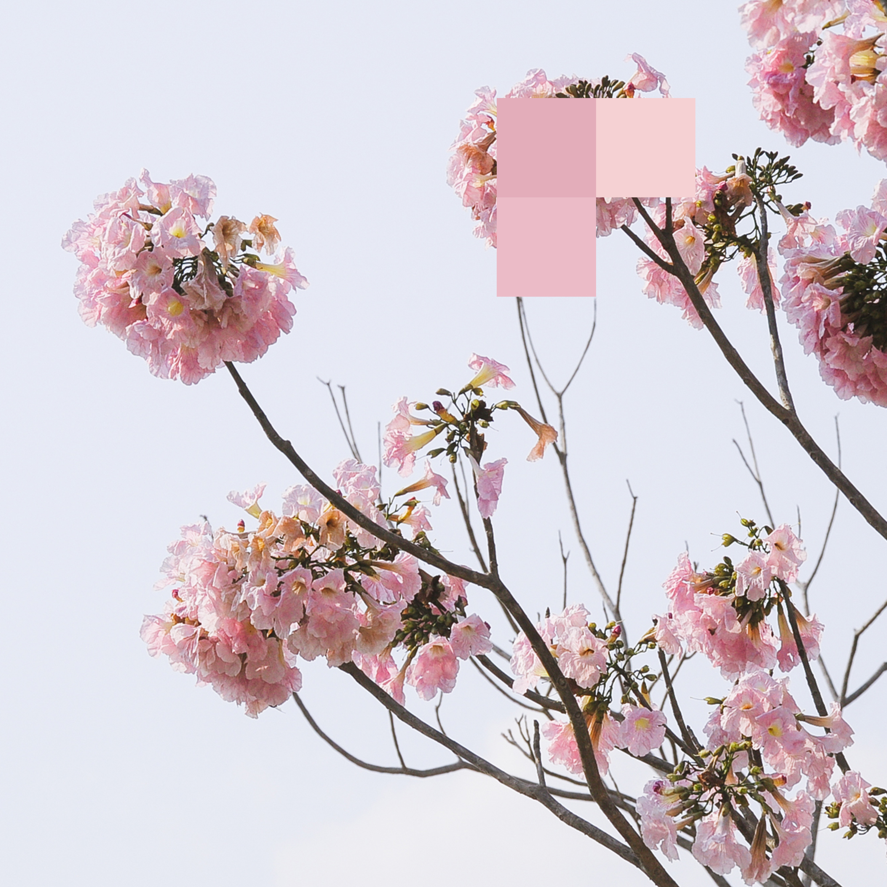 See You on the Other Side (Original Mix)