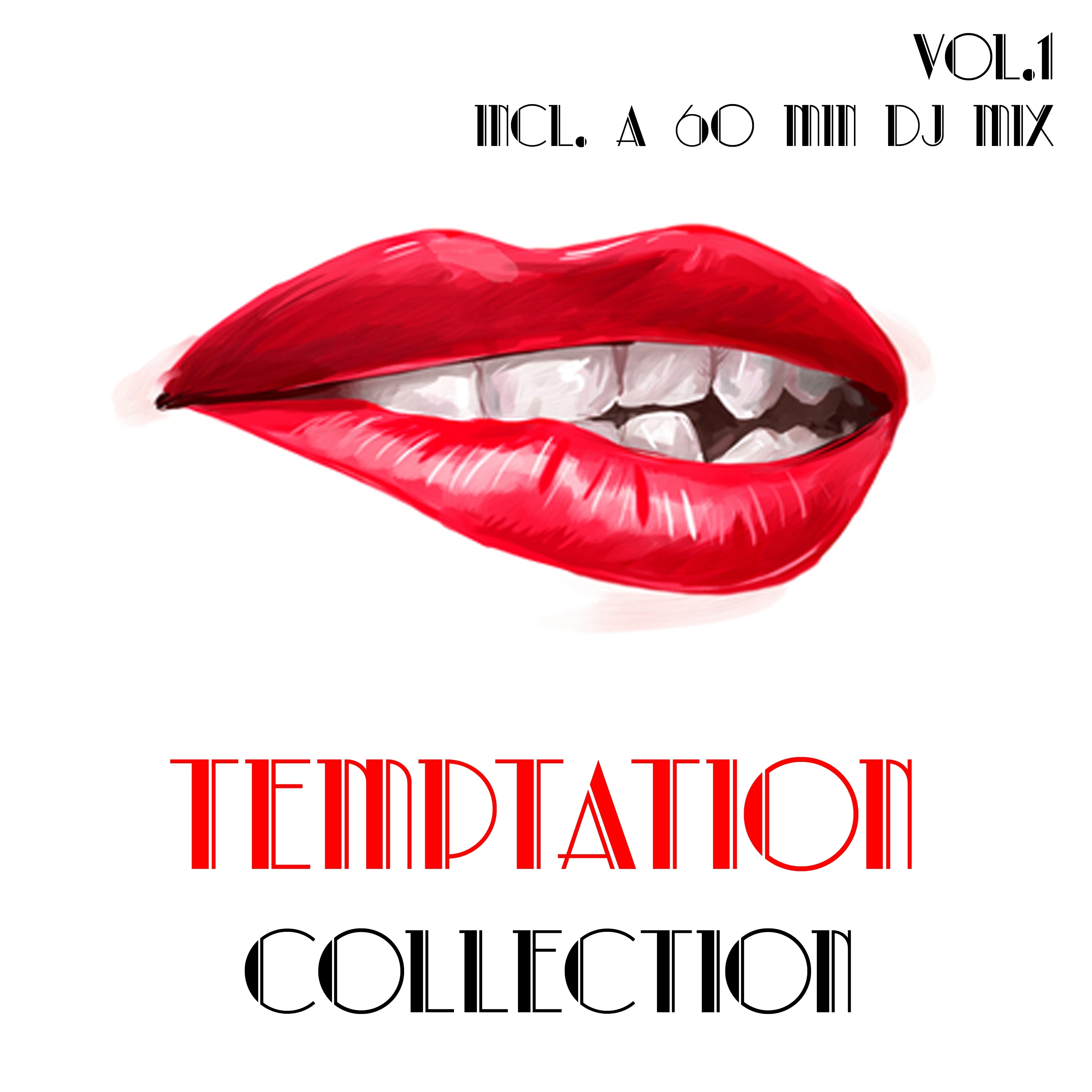 Temptation Collection, Vol. 1 - Selection of House Music