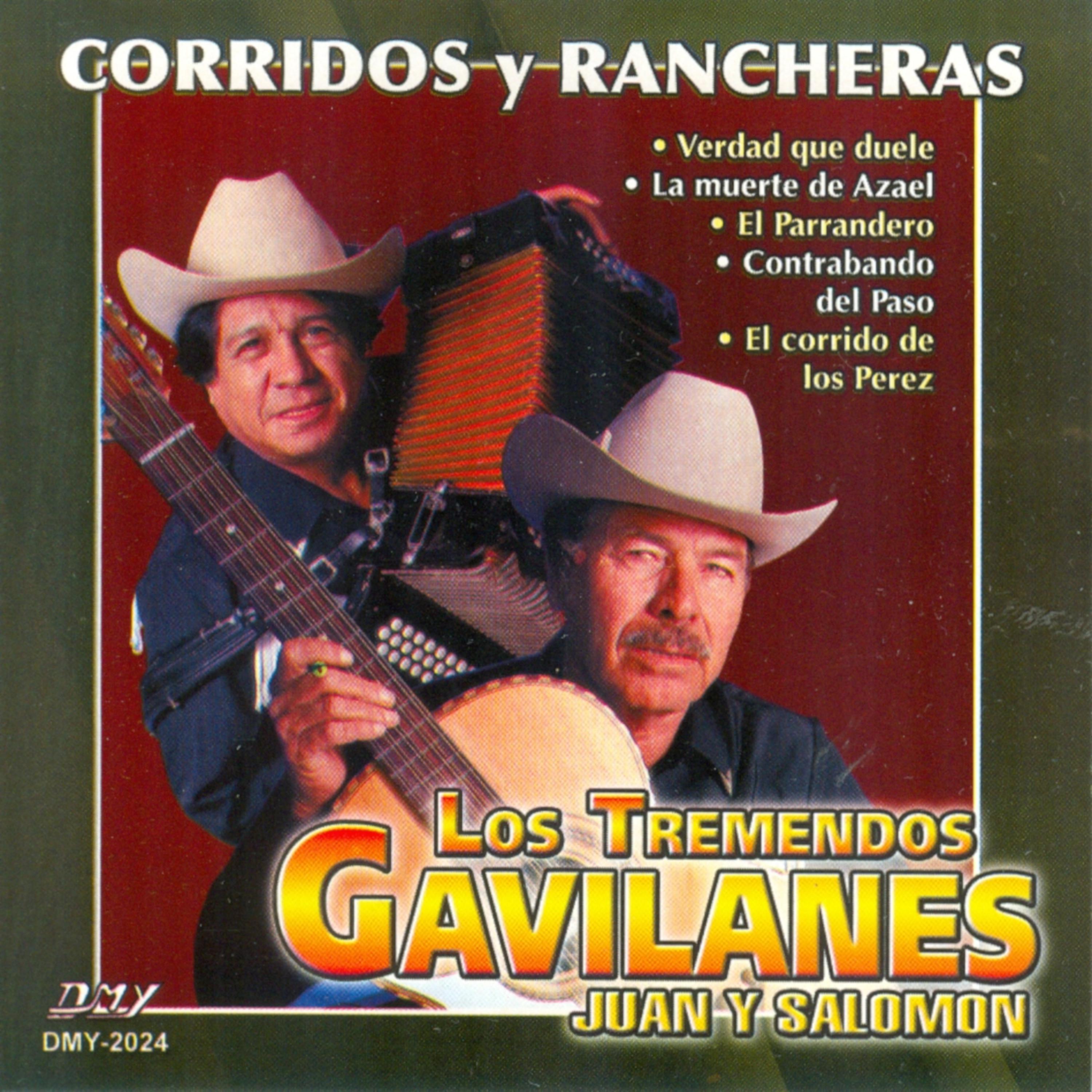 palomita De Alas Blancas