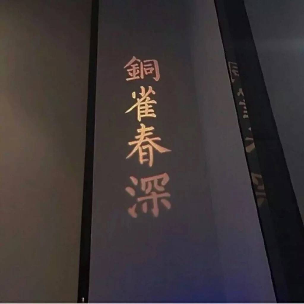 wo de shi jie fan zi chen zi tong