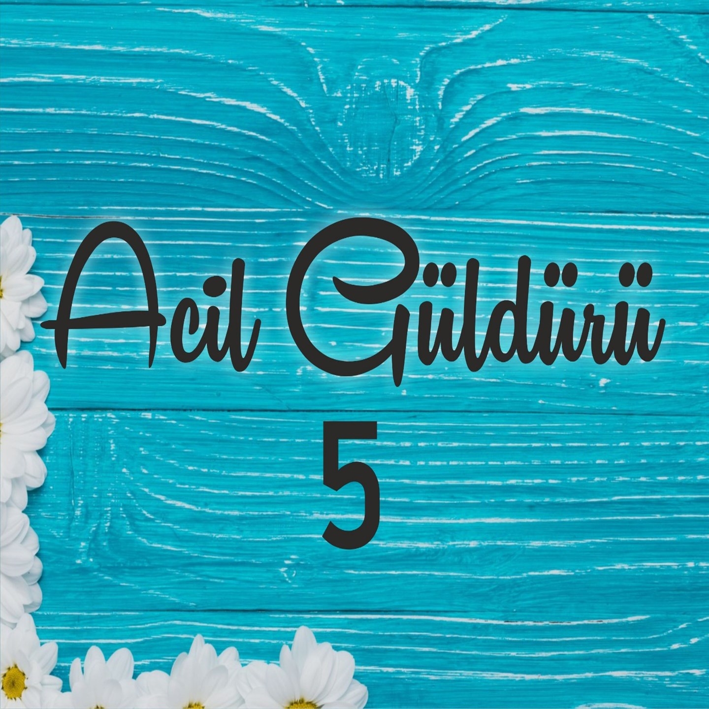 Acil Gü ldü rü, Vol. 5