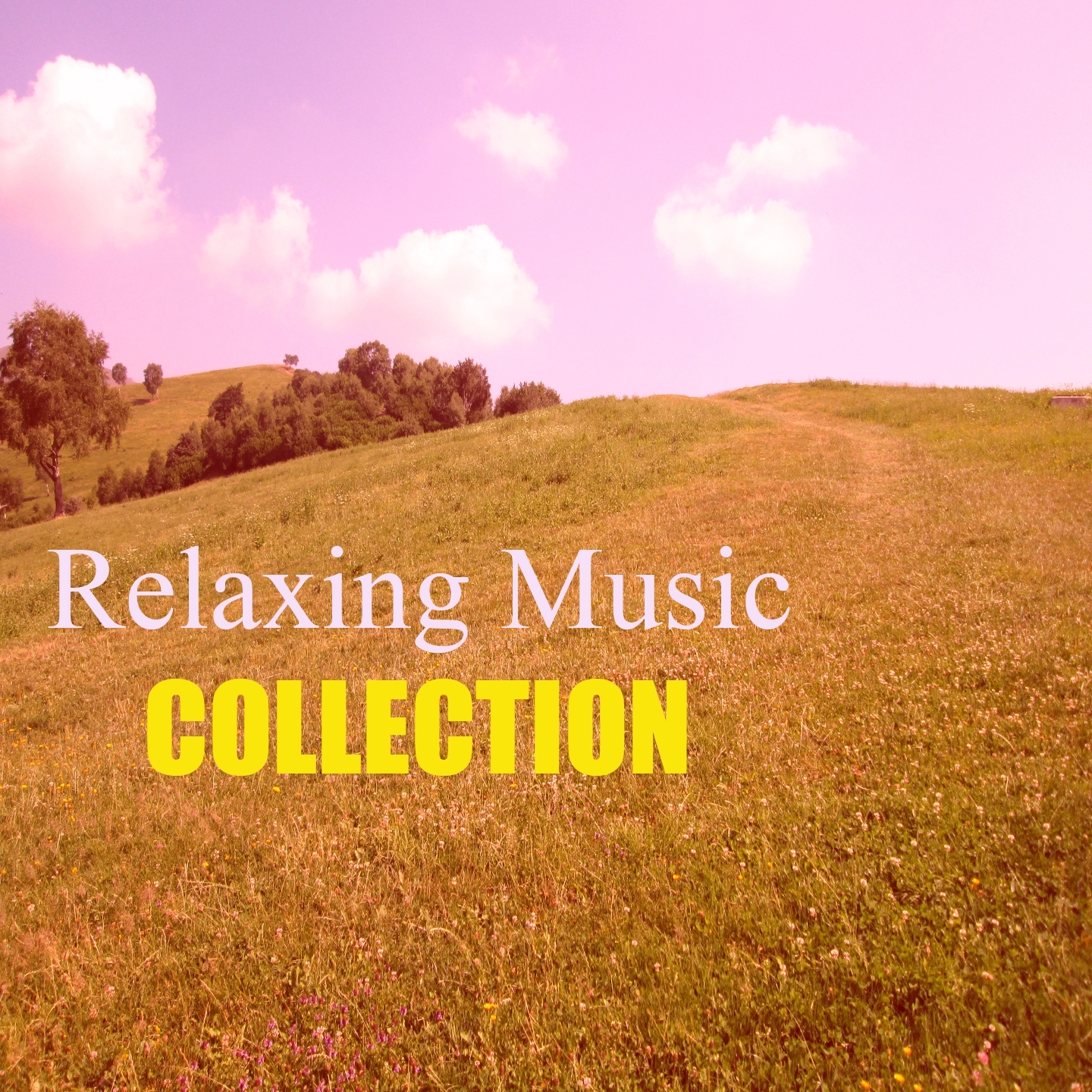 Relaxing Music (Total Relax Spa Music Collection)