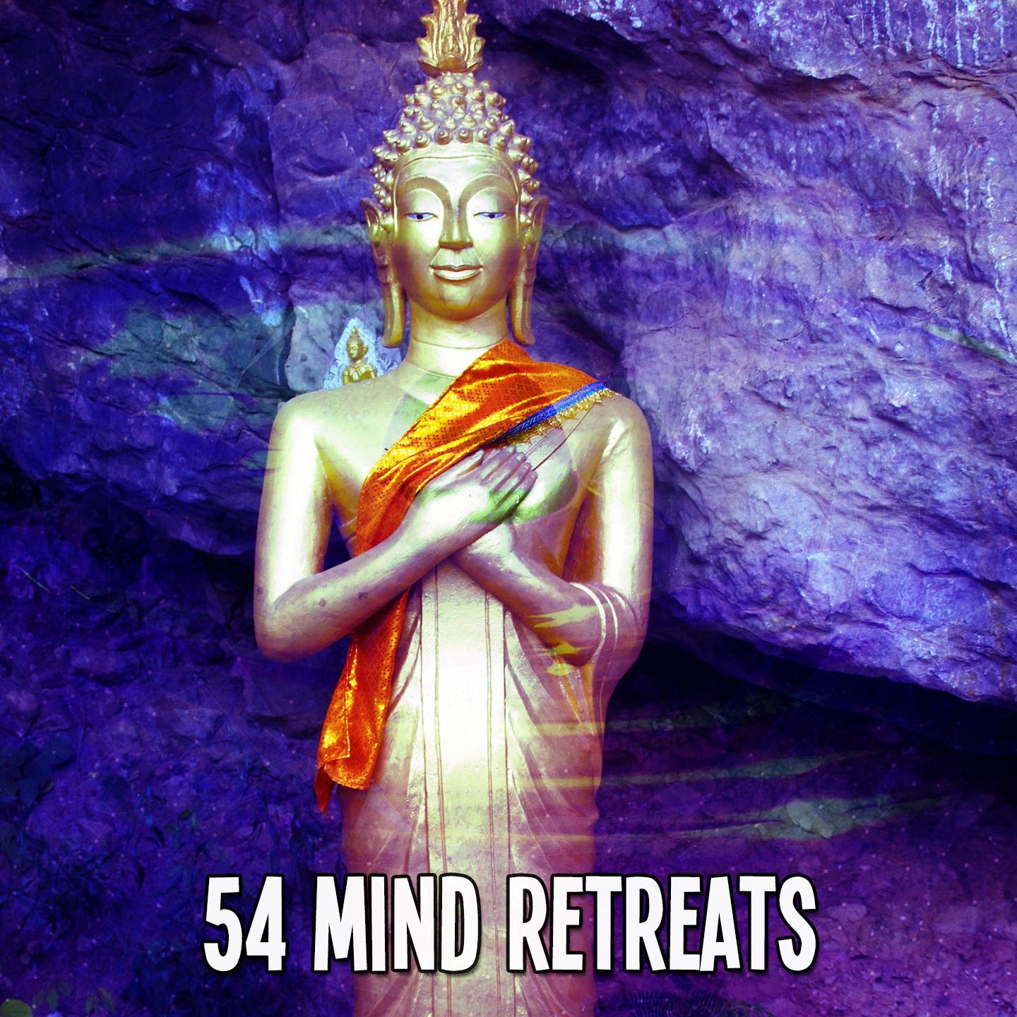 54 Mind Retreats