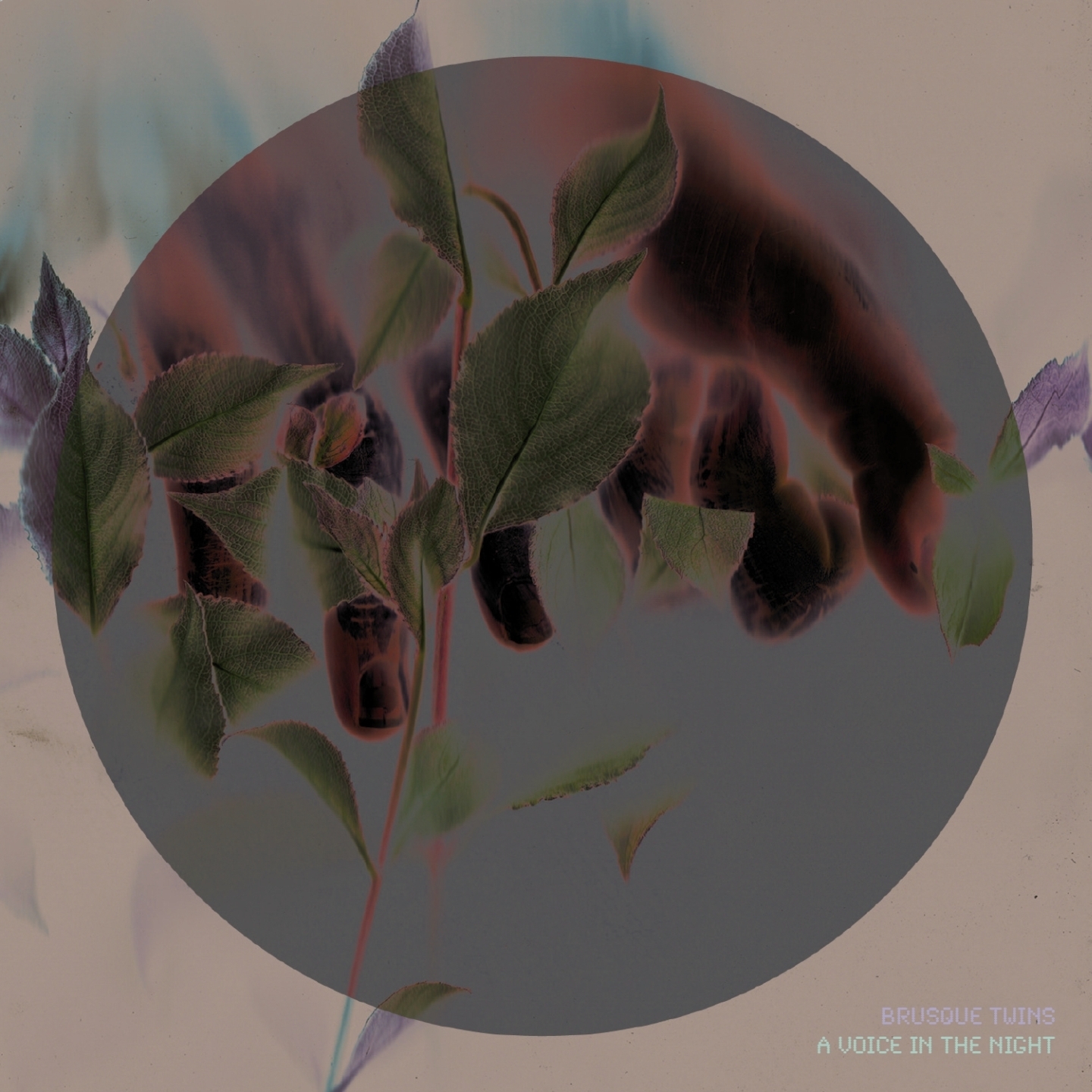 A Voice in the Night